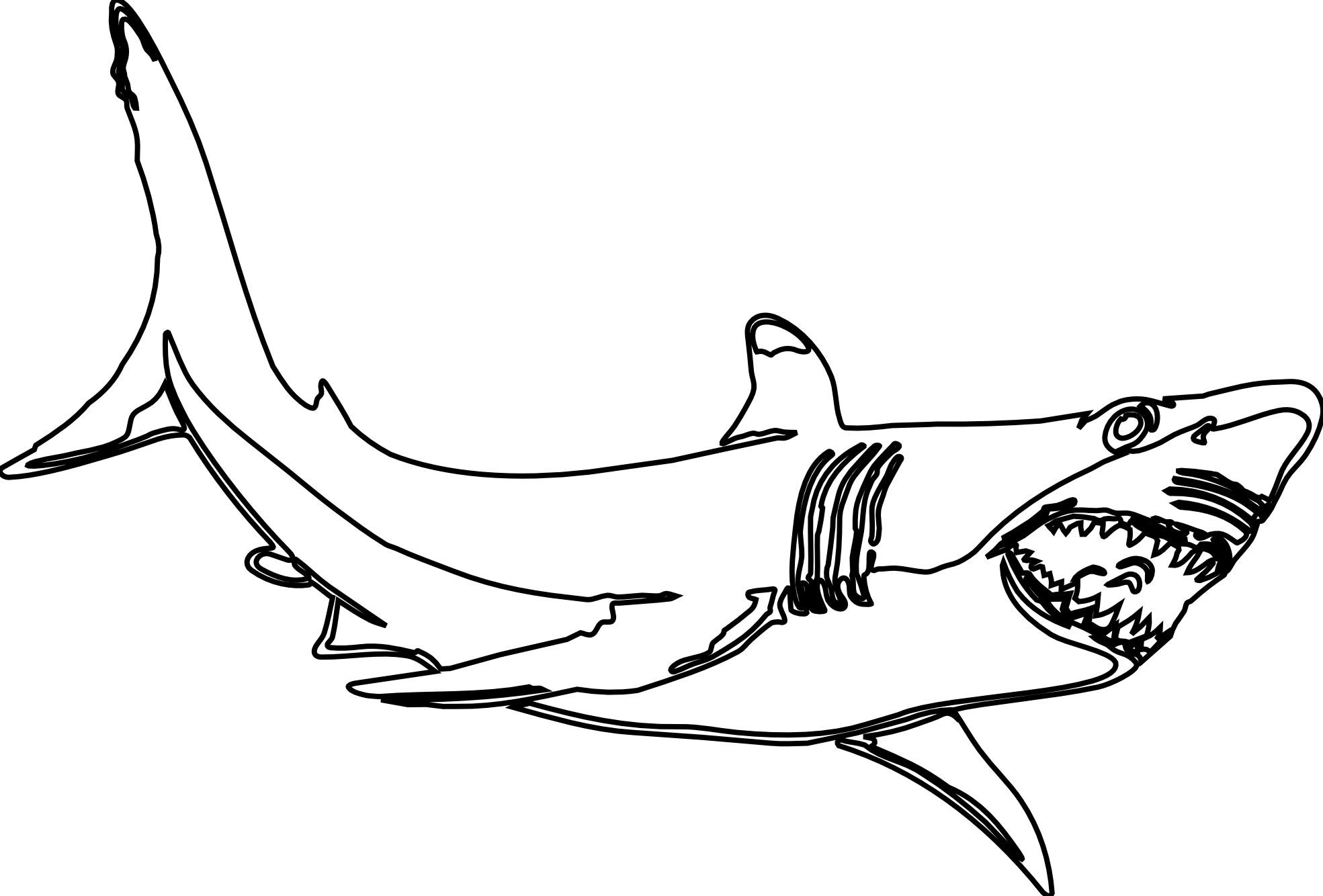 Free Printable Shark Coloring Pages Coloring Home