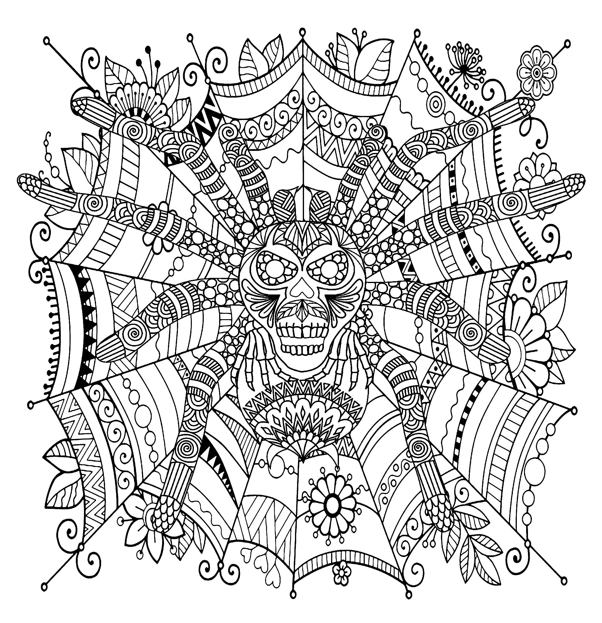 Free Printable Spider Coloring Pages For Kids
