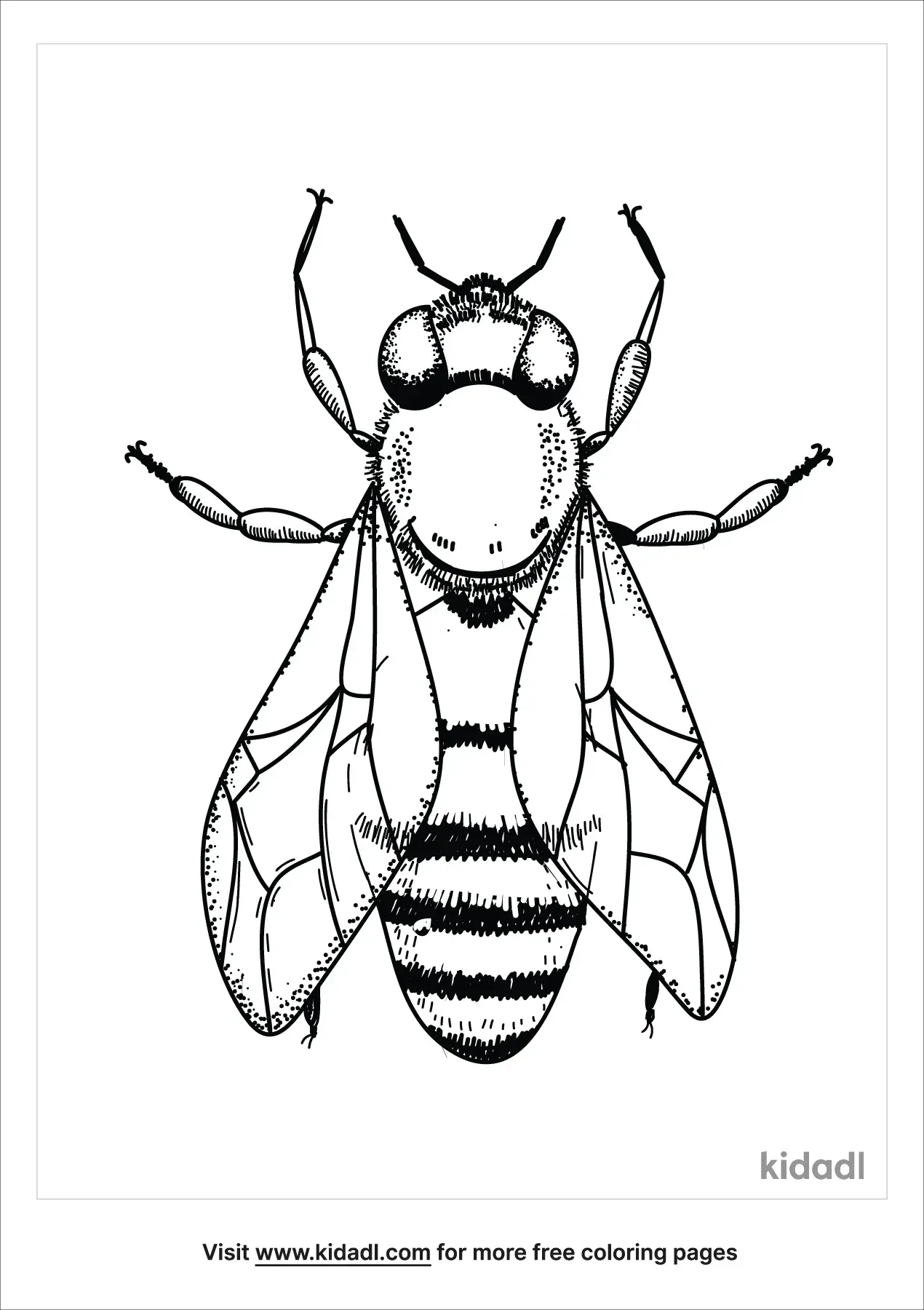 Free Realistic Bug Coloring Page Coloring Page Printables Kidadl