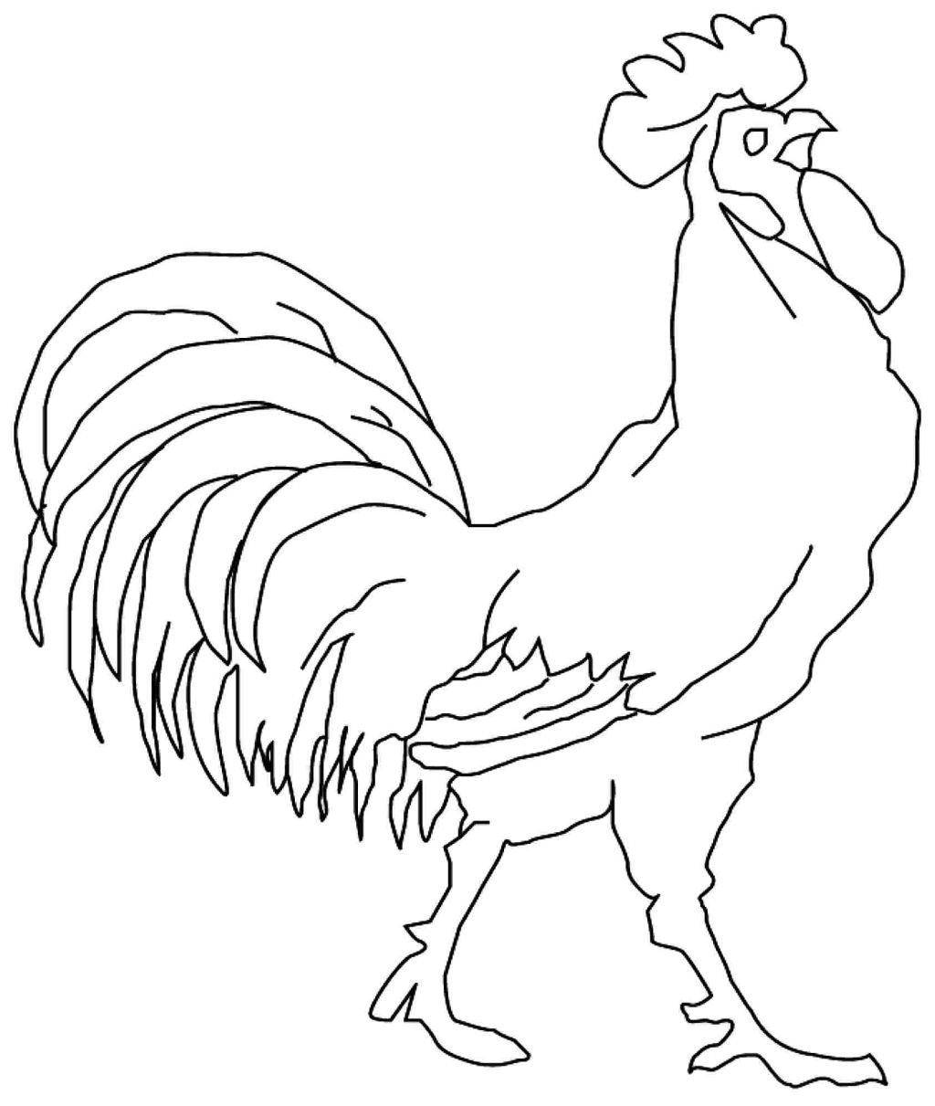 Free Rooster Coloring Pages At GetColorings Free Printable Colorings Pages To Print And Color