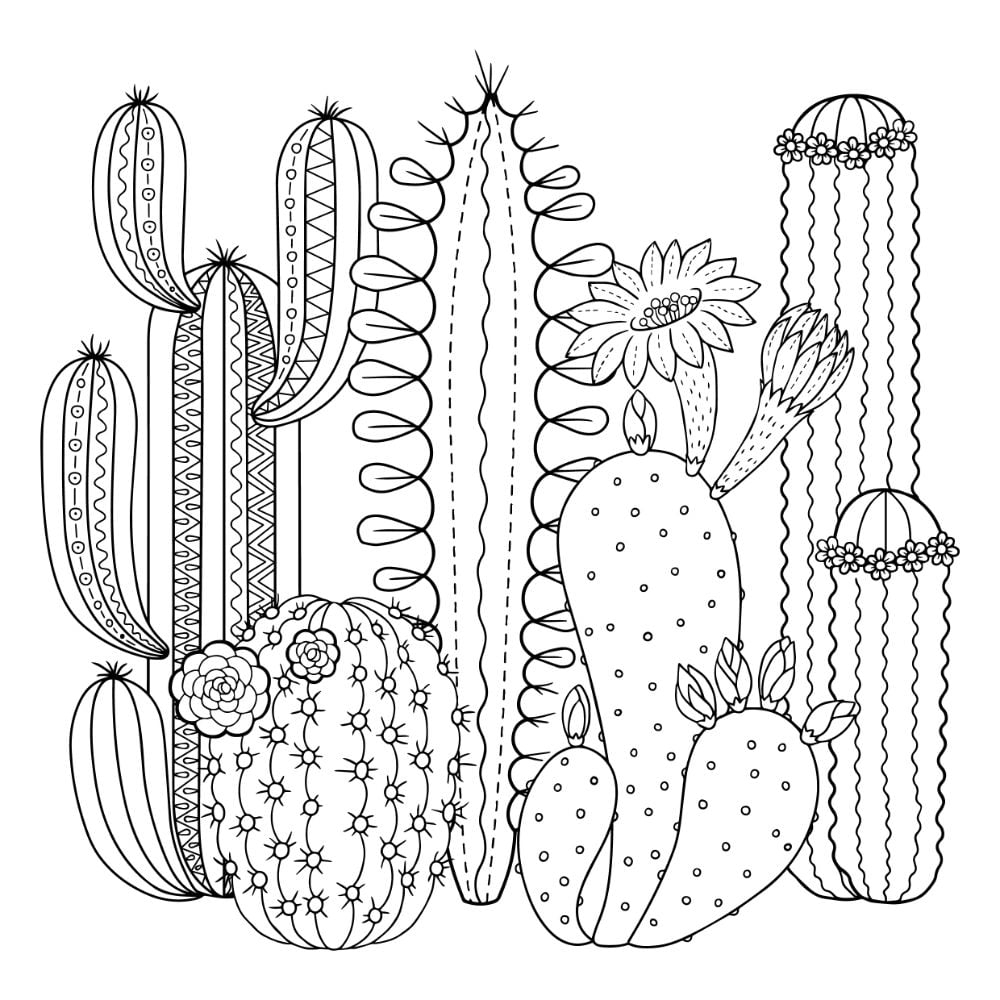 Free SUCCULENT Coloring Pages For Download Printable PDF VerbNow