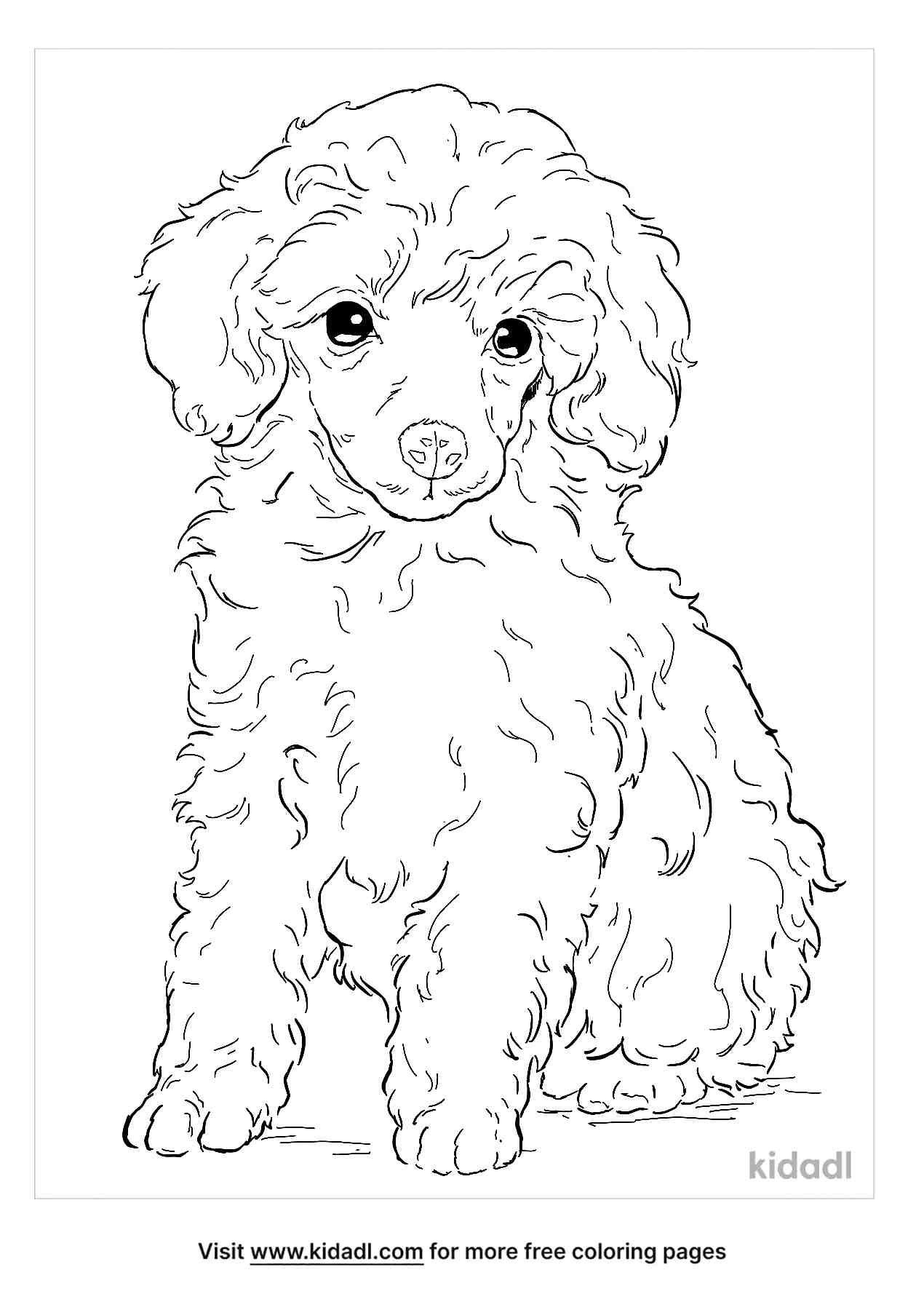 Free Toy Poodle Coloring Page Coloring Page Printables Kidadl