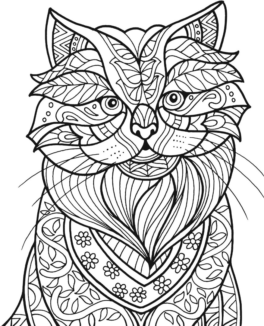 Adult Coloring Pages Cats