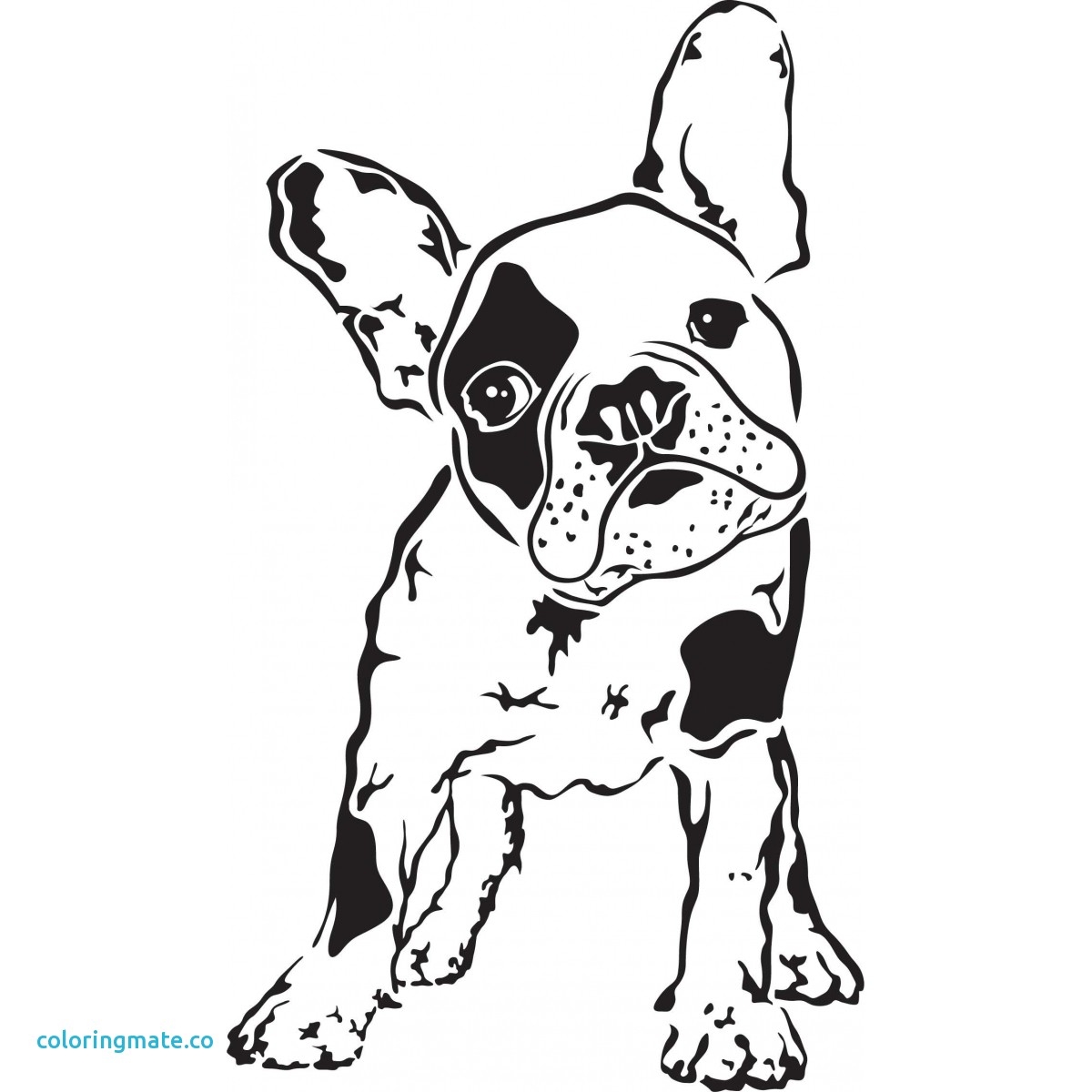 French Bulldog Coloring Pages At GetColorings Free Printable Colorings Pages To Print And