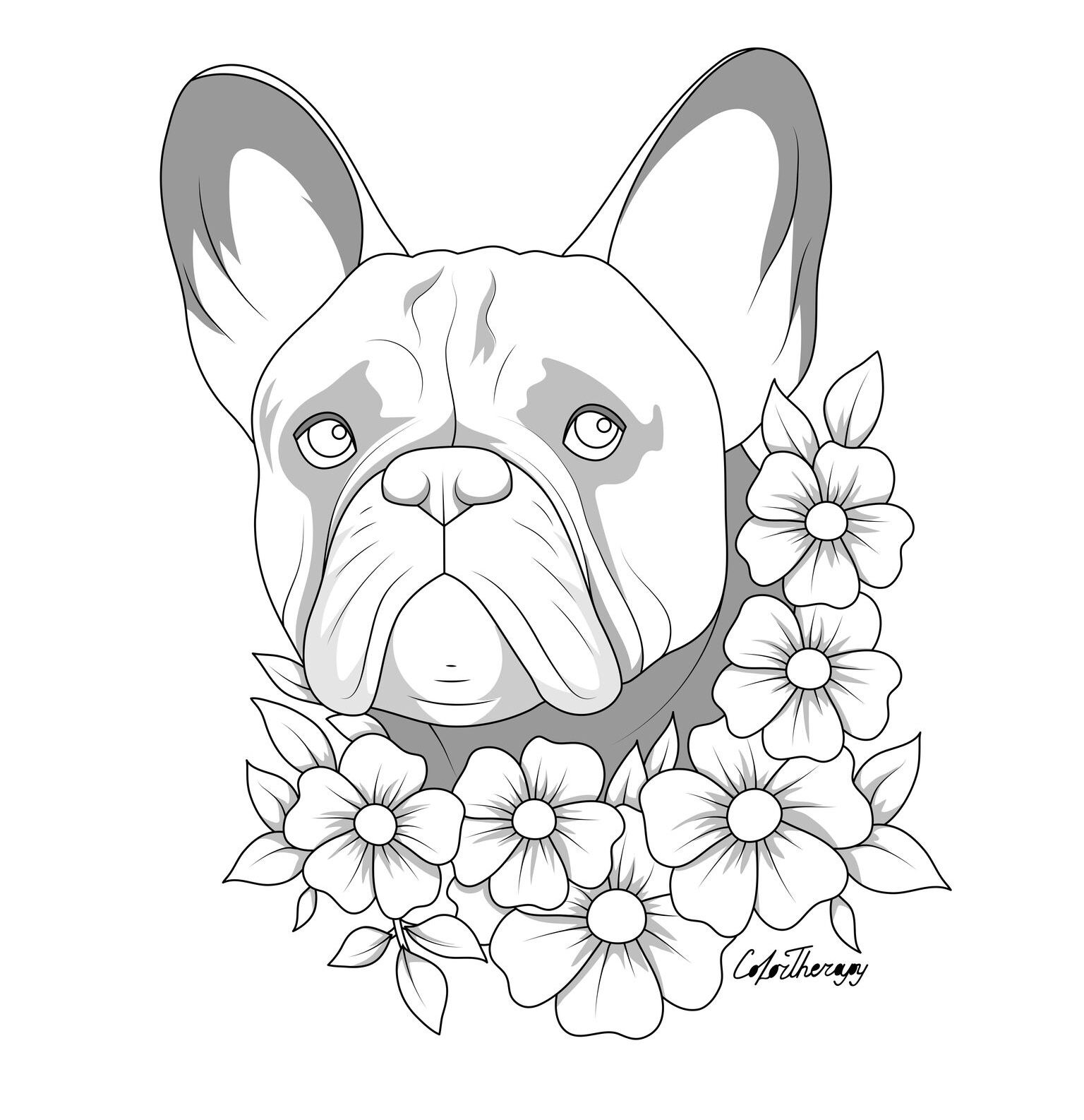 French Bulldog Coloring Pages Easy Thekidsworksheet