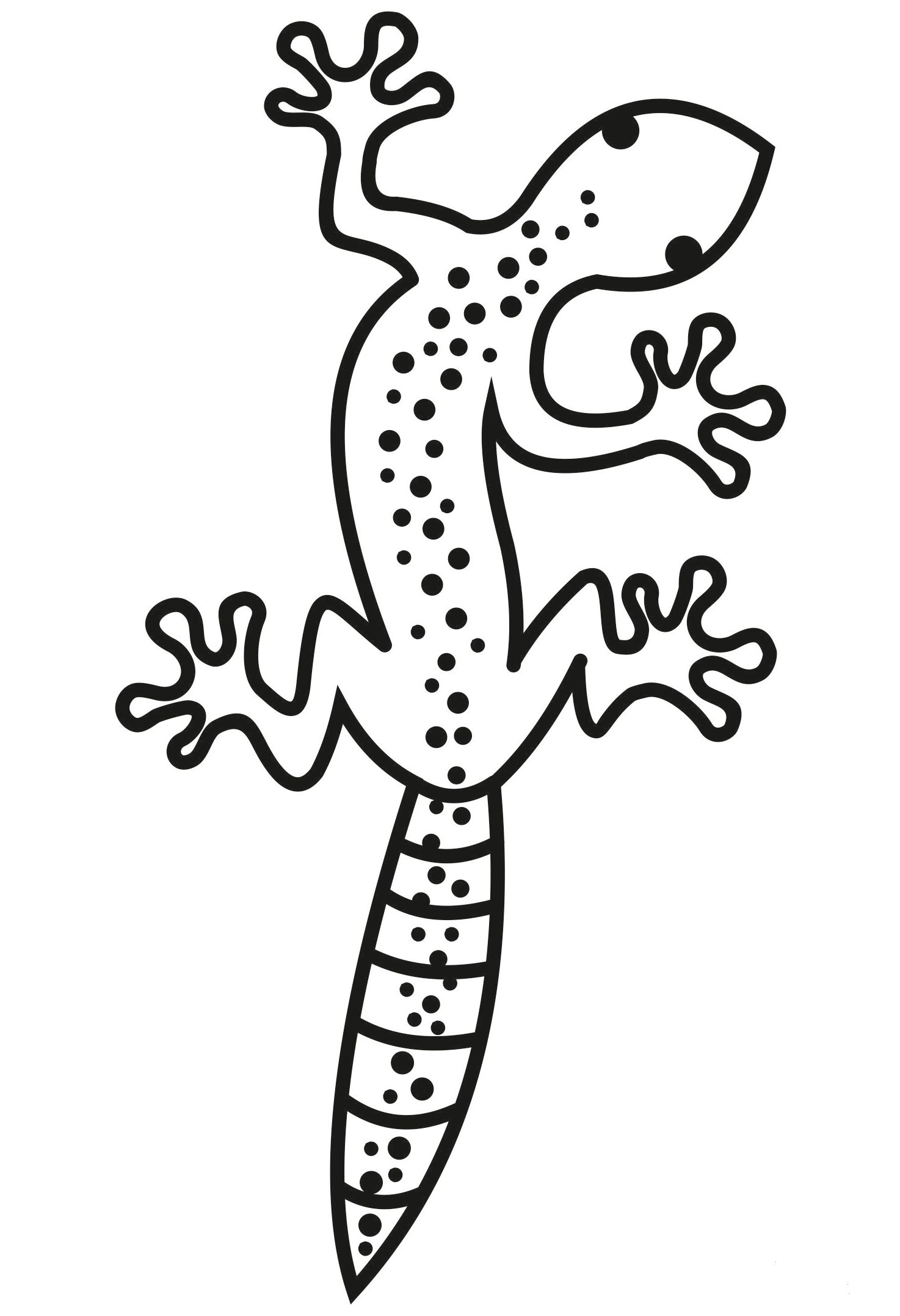 Gecko Coloring Page ColouringPages