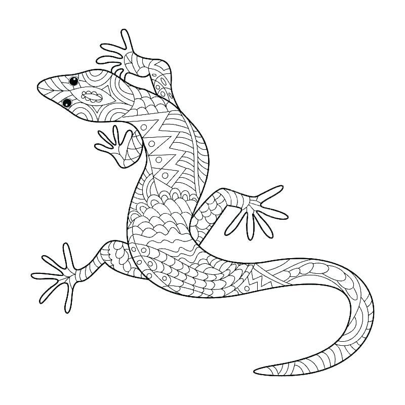 Gecko Coloring Pages Best Coloring Pages For Kids