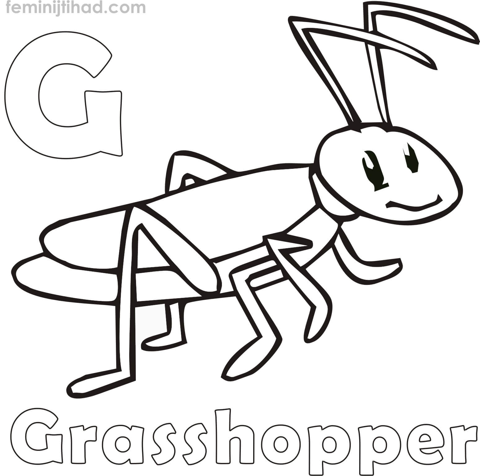 Grasshopper Coloring Pages For Kids At GetDrawings Free Download