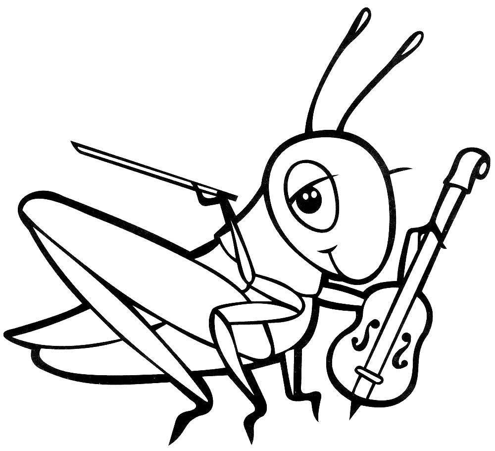 Grasshoppers Coloring Pages To Download And Print For Free