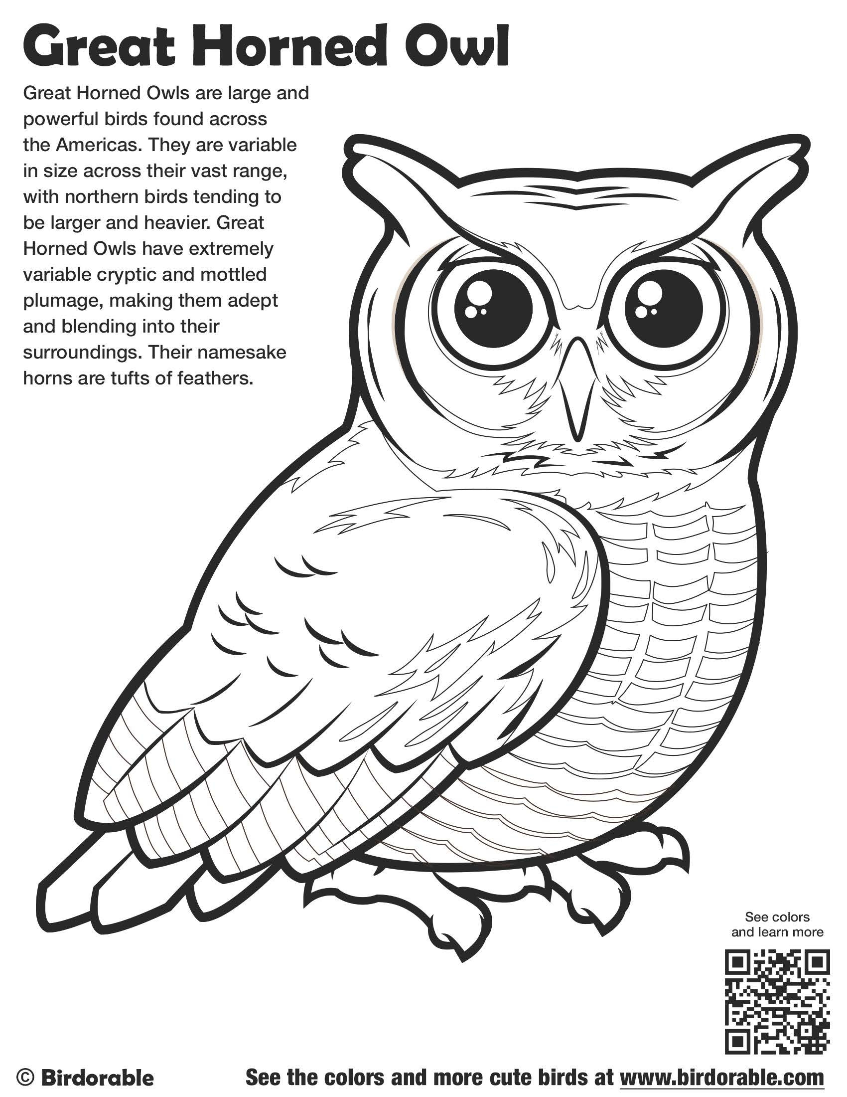 Great Horned Owl Coloring Page At GetColorings Free Printable Colorings Pages To Print And
