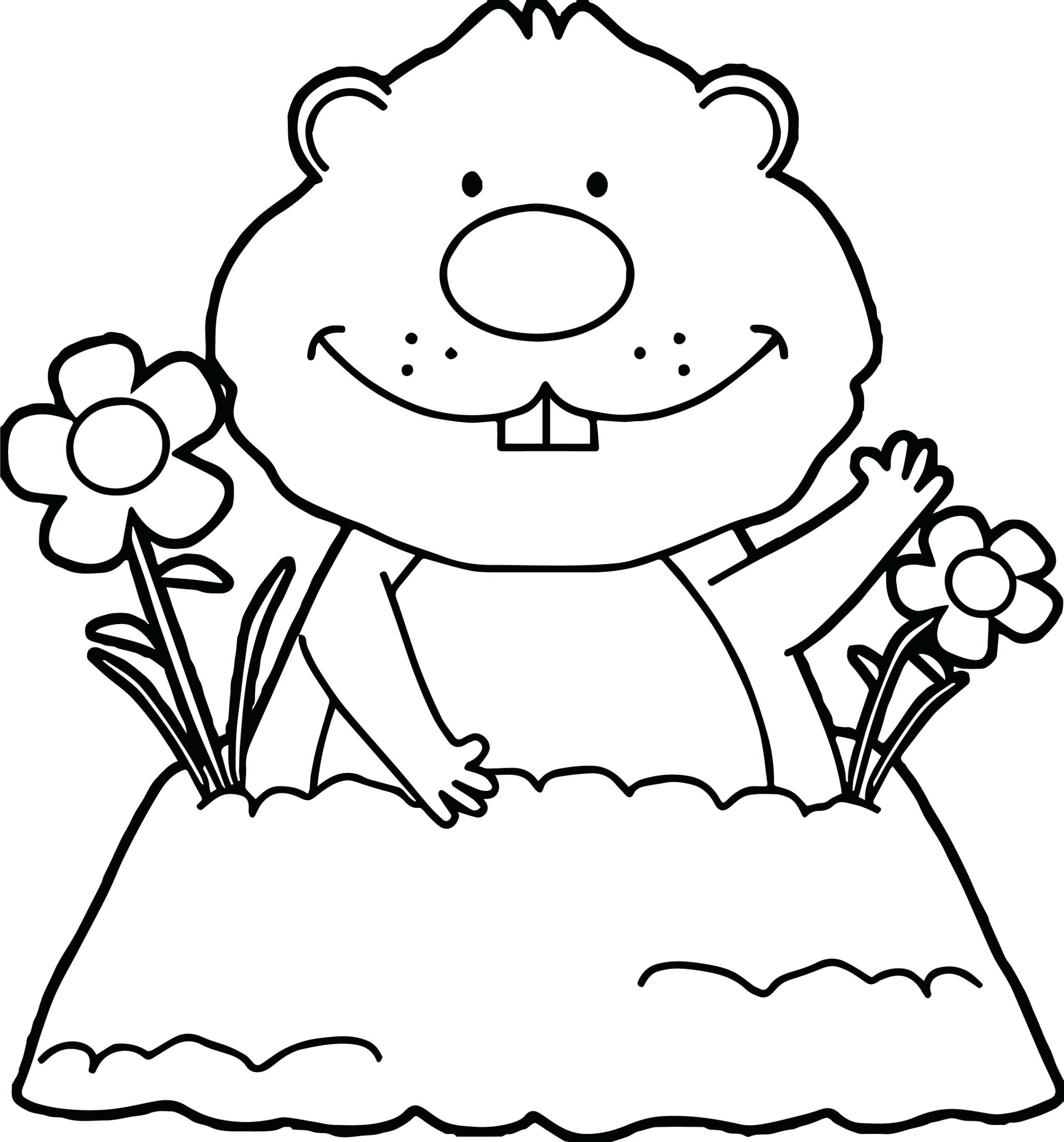 Groundhog Coloring Pages Best Coloring Pages For Kids