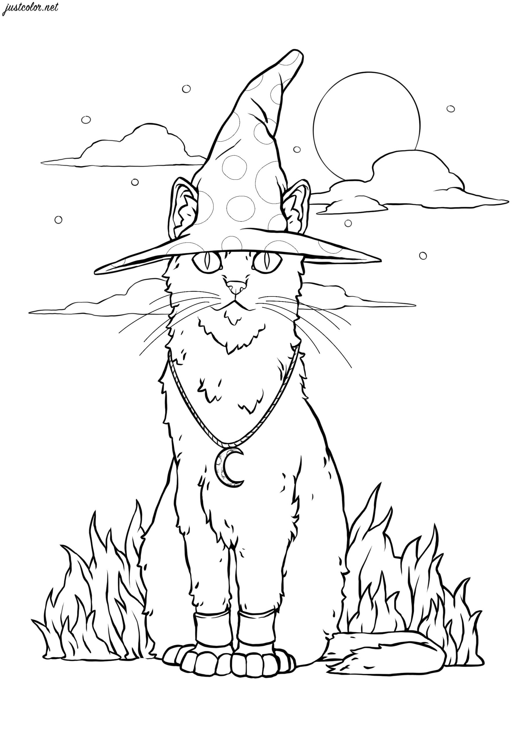 Halloween Cat Drawing For Kids