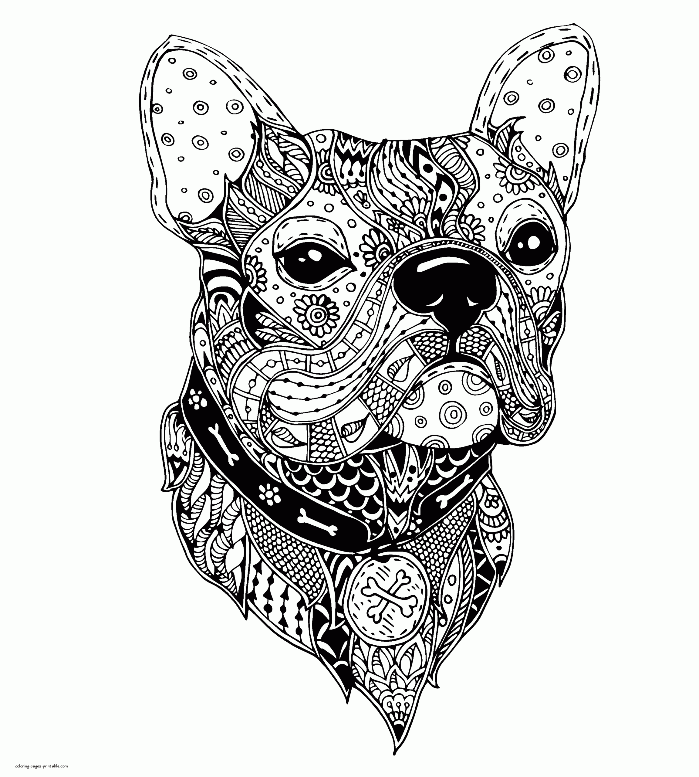 Hard Animal Coloring Pictures