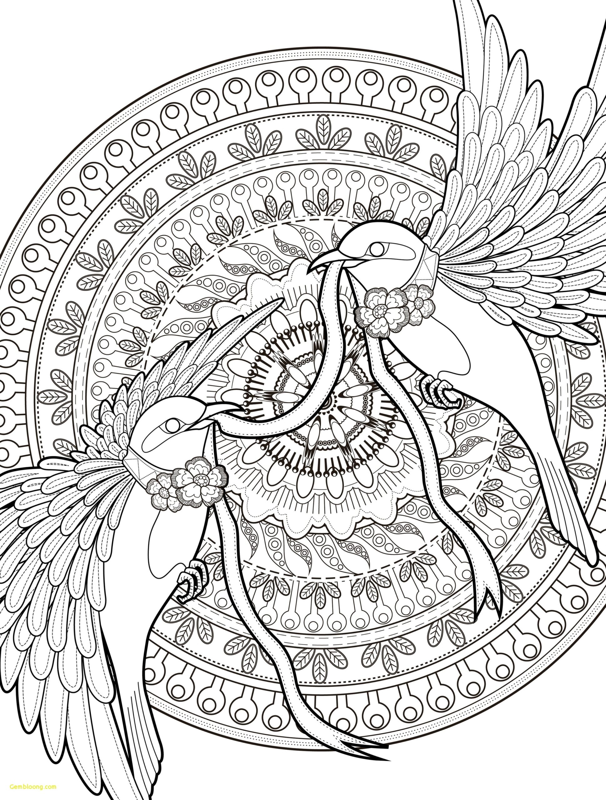Hard Bird Coloring Pages At GetColorings Free Printable Colorings Pages To Print And Color