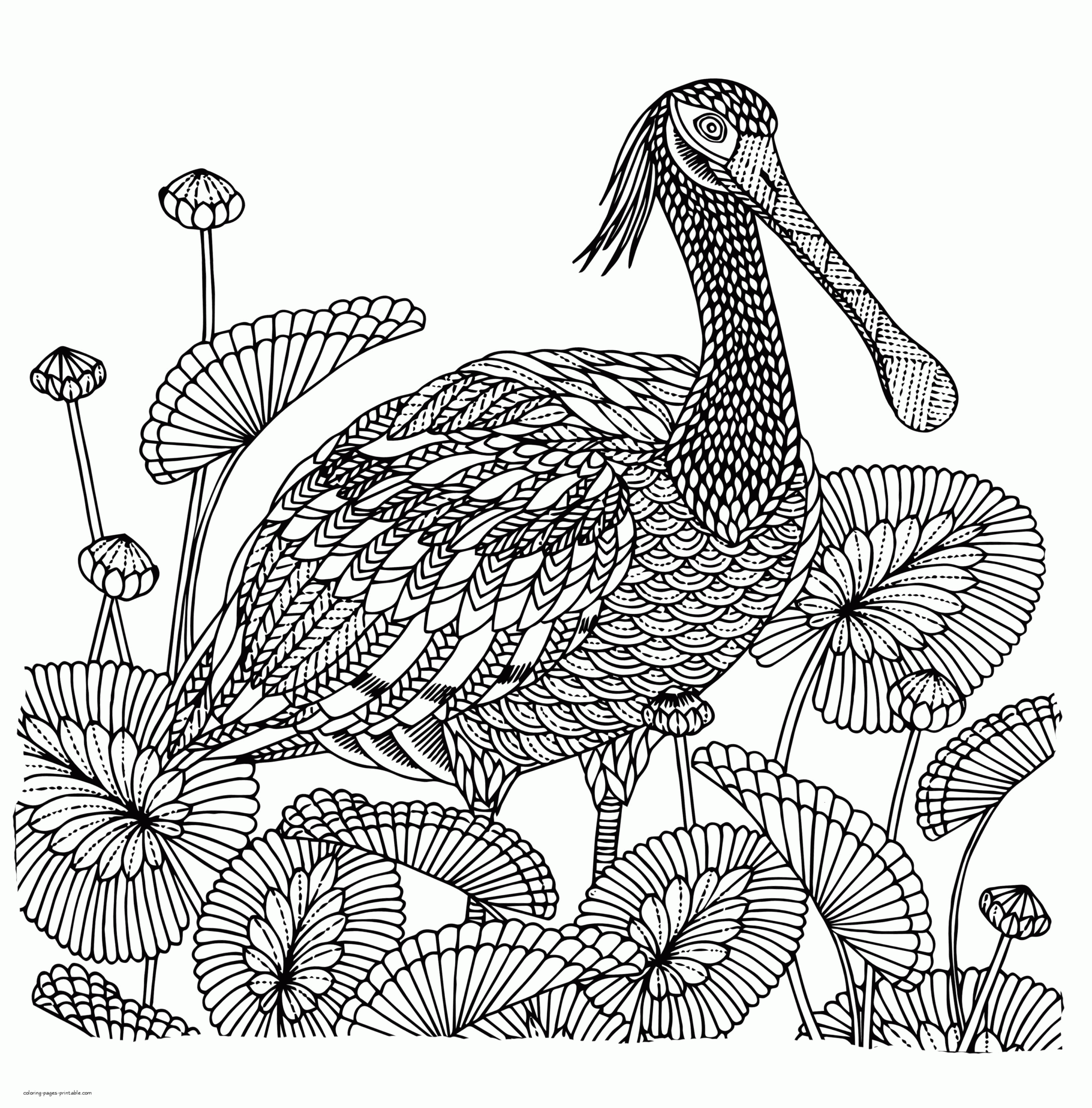 Hard Bird Coloring Pages Birds Free Printable Coloring Pages For Kids Relax After A Hard Day