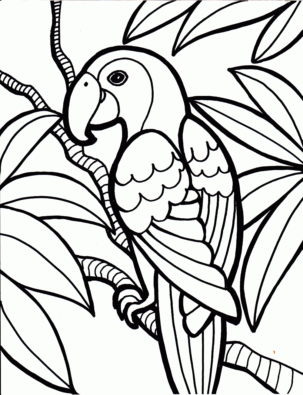 Hard Peacock Colouring Pages Page 2