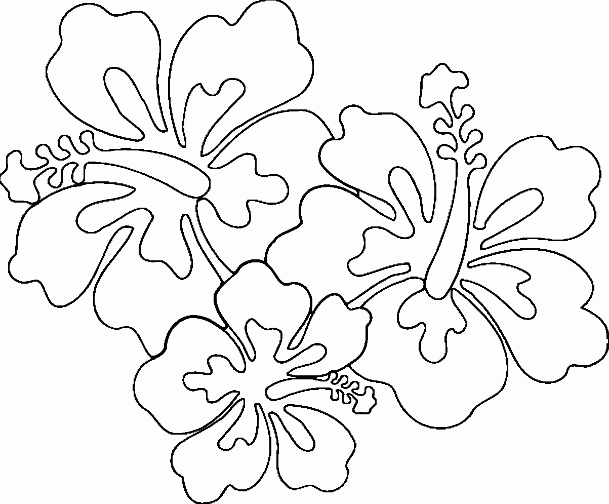 Hawaiian Flowers Coloring Page Coloring Home