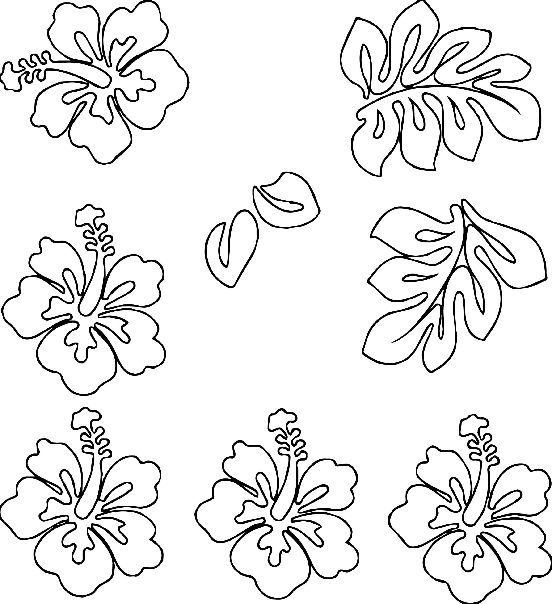 Hawaiian Flowers Coloring Page Home Sketch Coloring Page