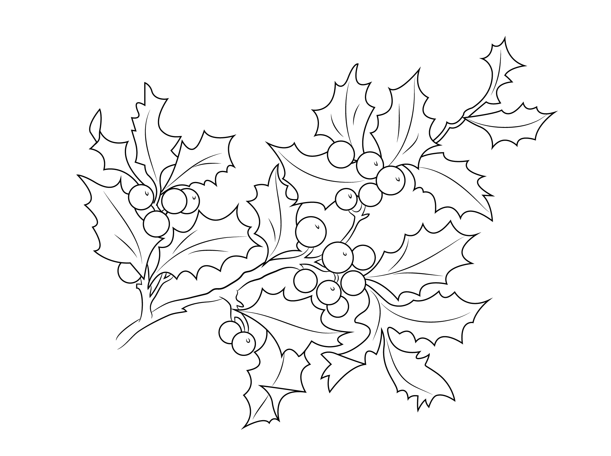 Holly Coloring Pages Best Coloring Pages For Kids