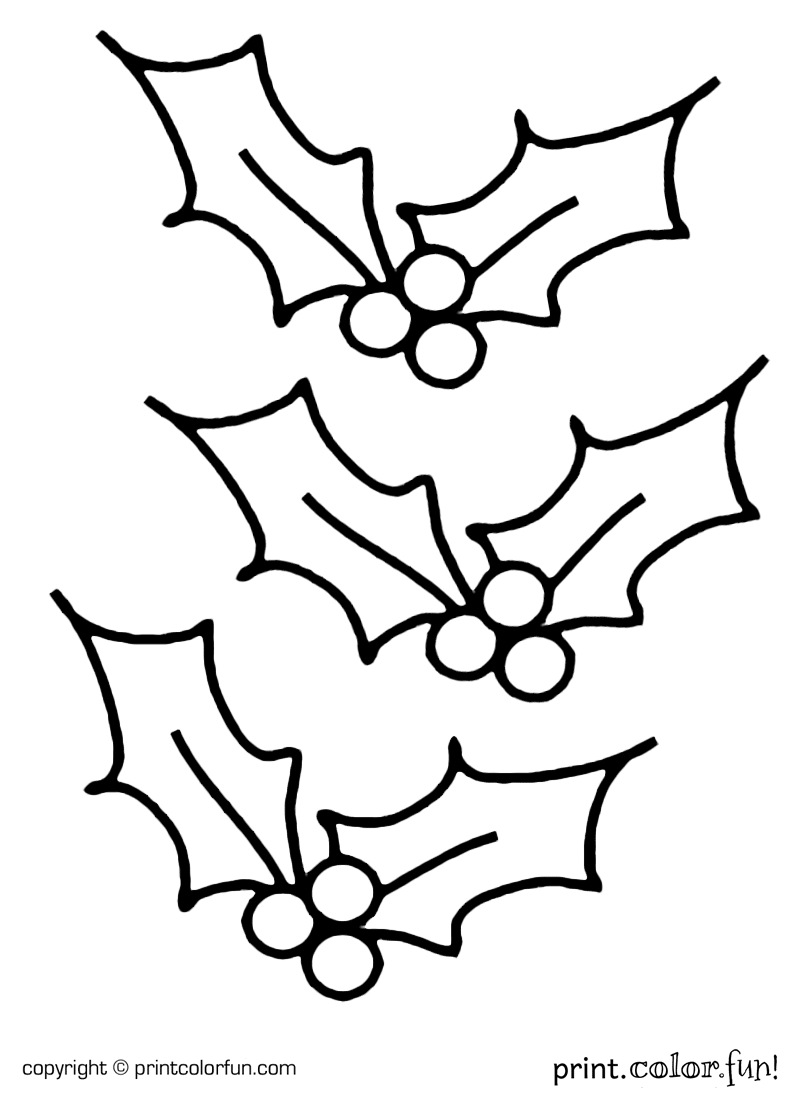 Holly Leaves And Berries Drawing At GetDrawings Free Download