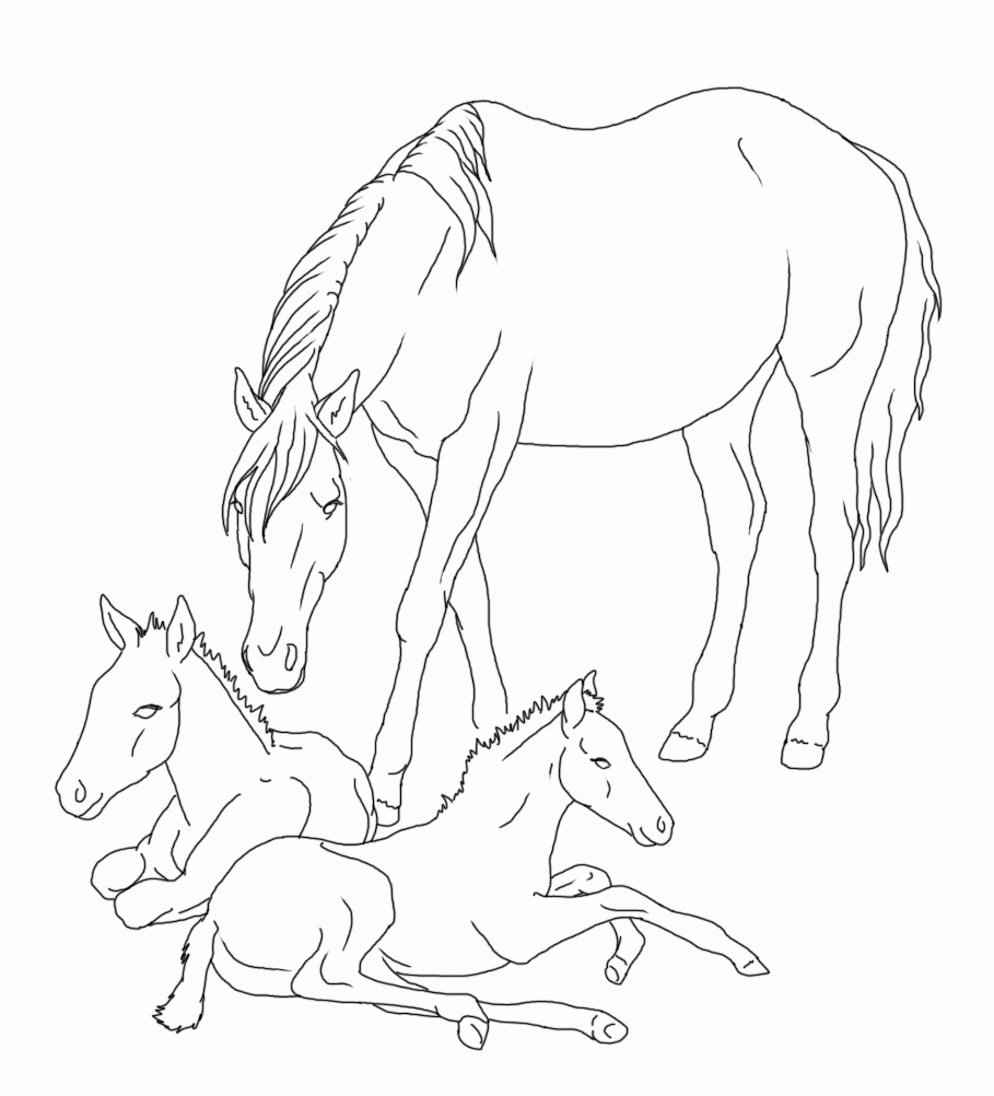 Horse And Foal Coloring Pages Realistic Sketch Coloring Page Coloring Home