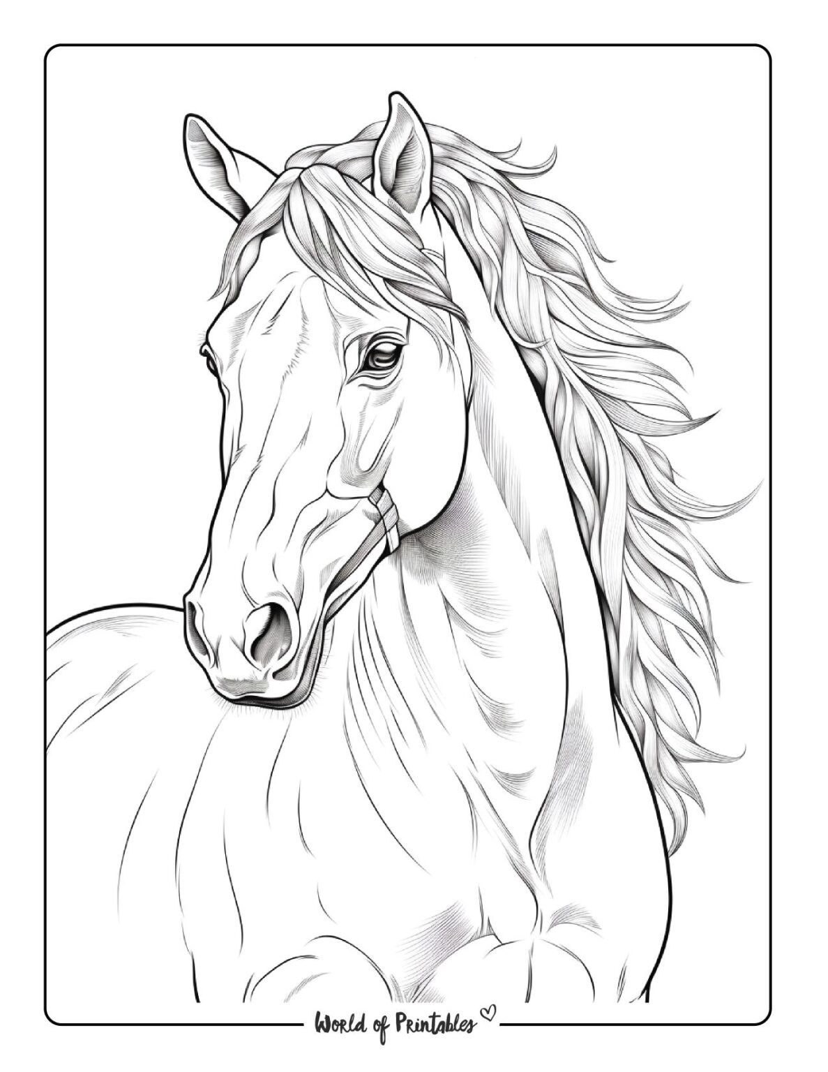 Horse Coloring Book Pages
