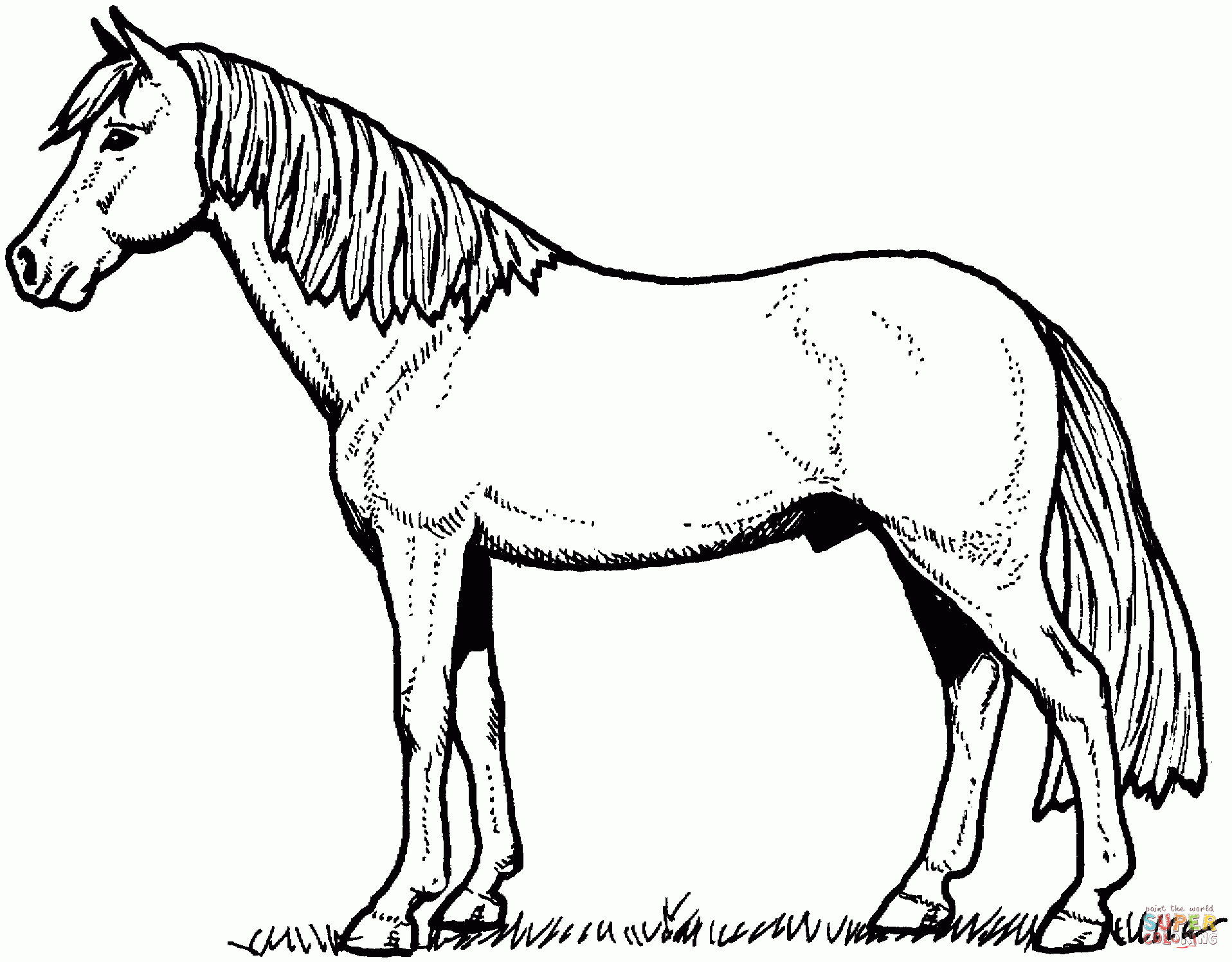 Kids Coloring Pages Horses