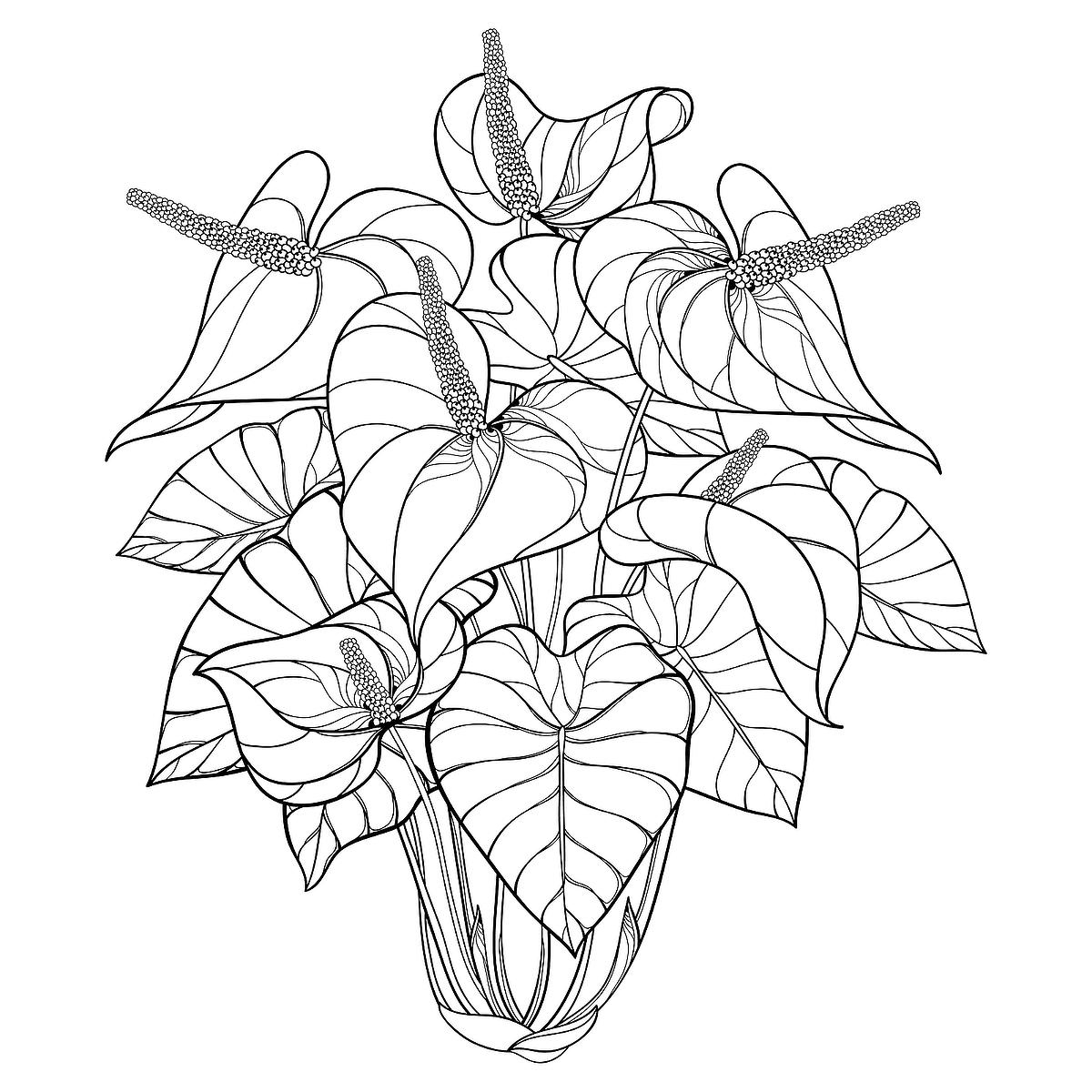 Plants Coloring Pages