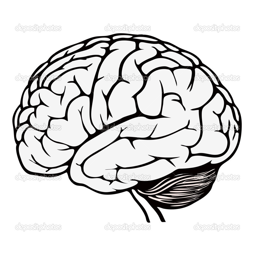 Human Brain Coloring Page At GetColorings Free Printable Colorings Pages To Print And Color