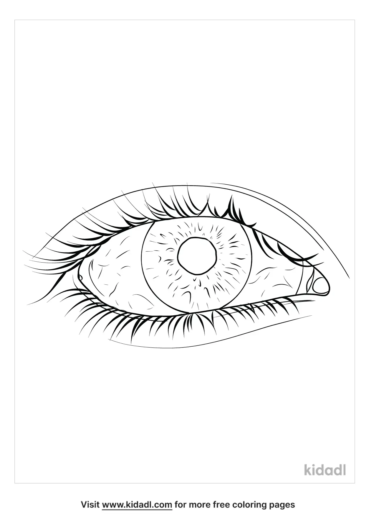 Human Eye Coloring Page
