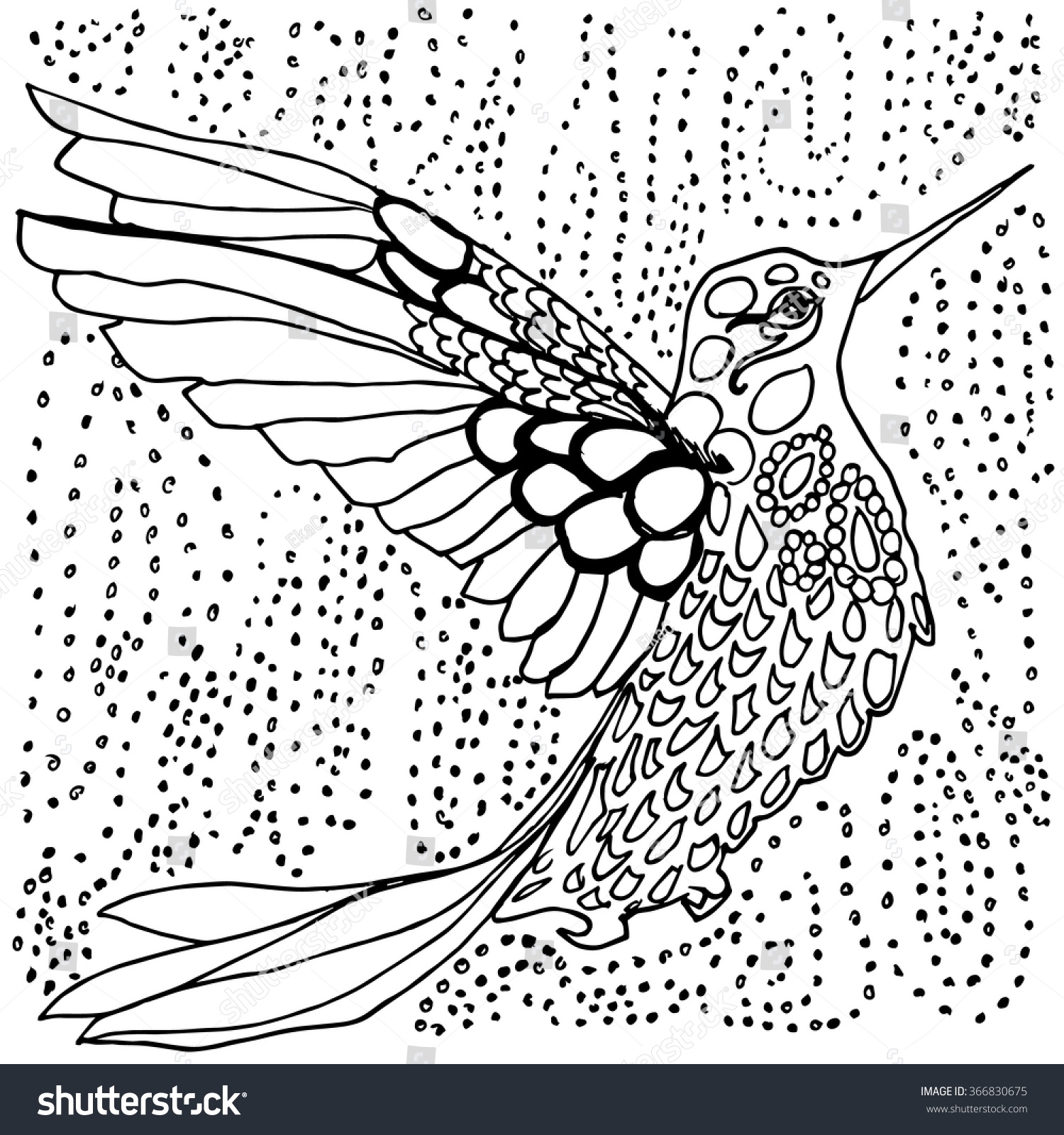 Adult Coloring Pages Hummingbird