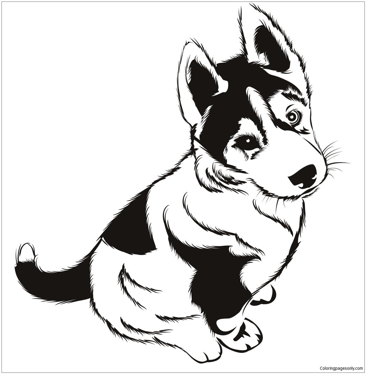 Husky Puppies Coloring Page Free Coloring Pages Online
