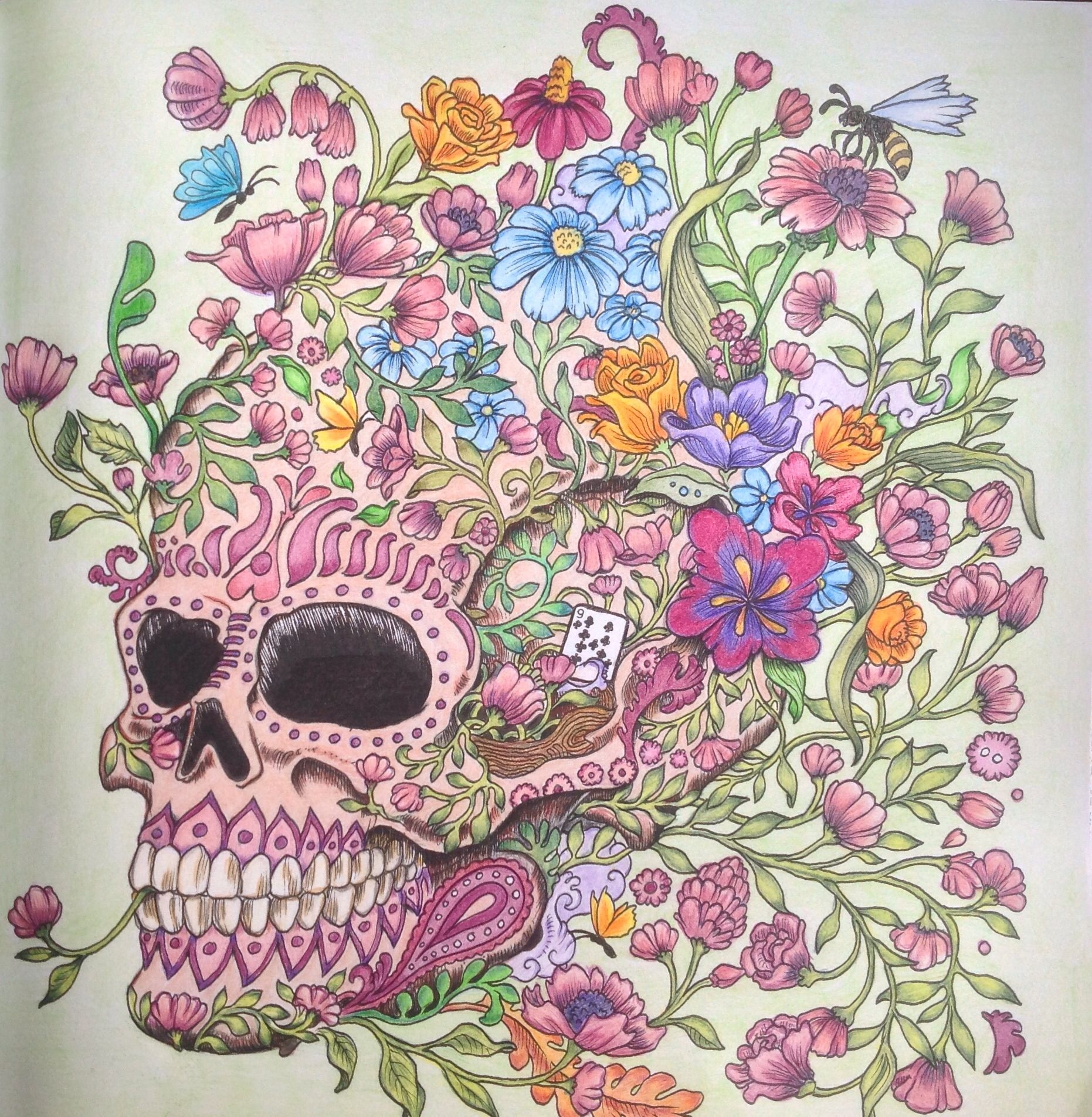 Imagimorphia Coloring Book Art Animorphia Coloring Book Animorphia Coloring