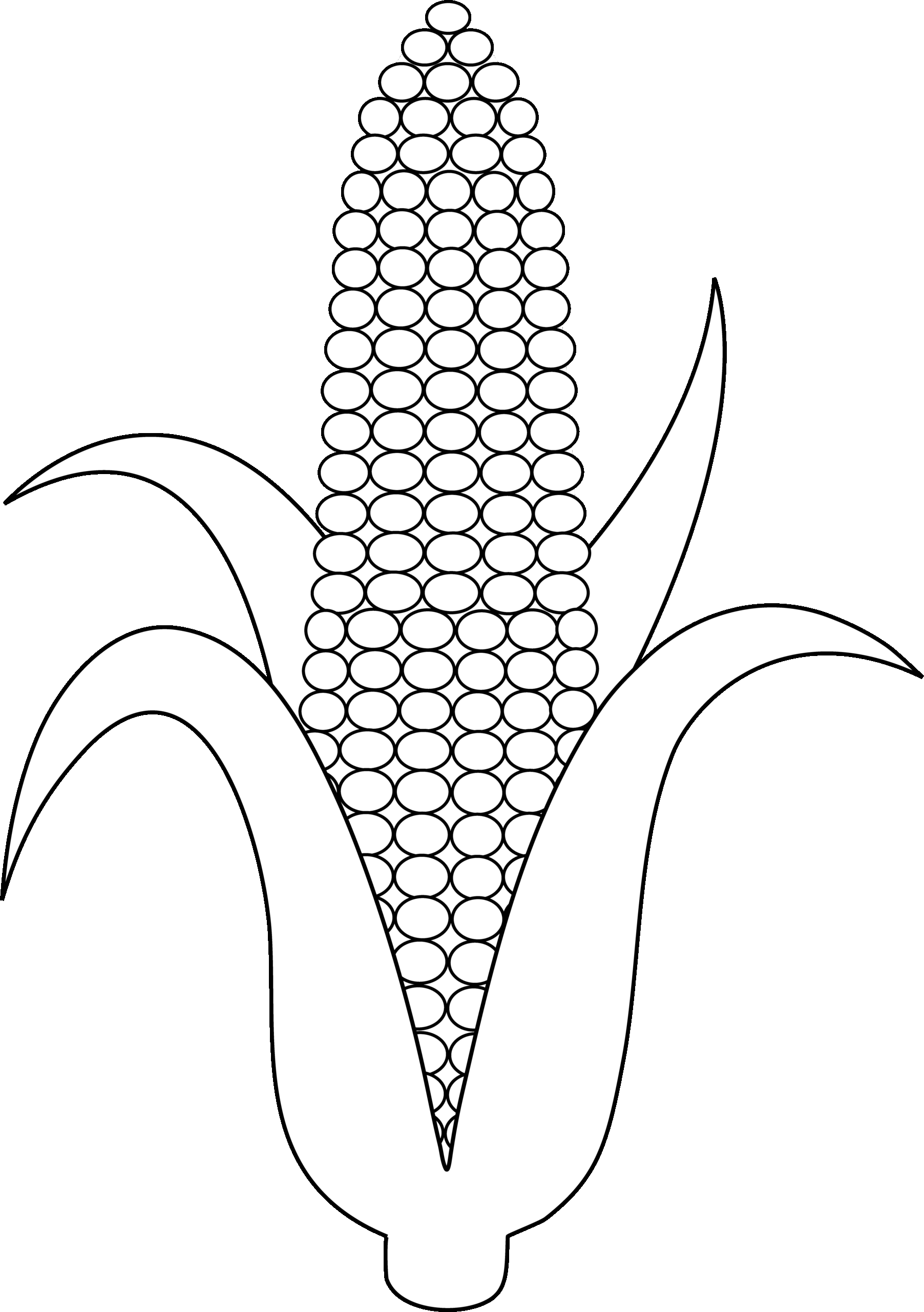 Indian Corn Coloring Page Kidsworksheetfun