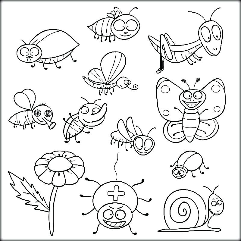 Bugs Coloring Pages