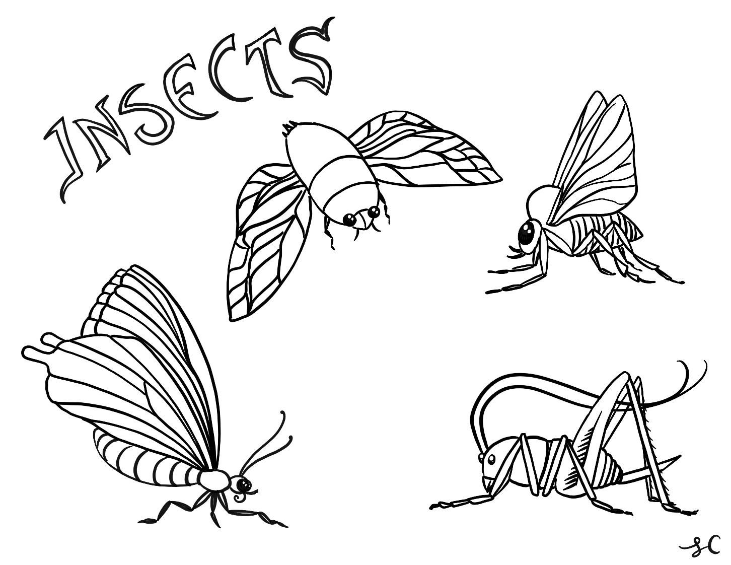 Insects Coloring Page Leila Currah