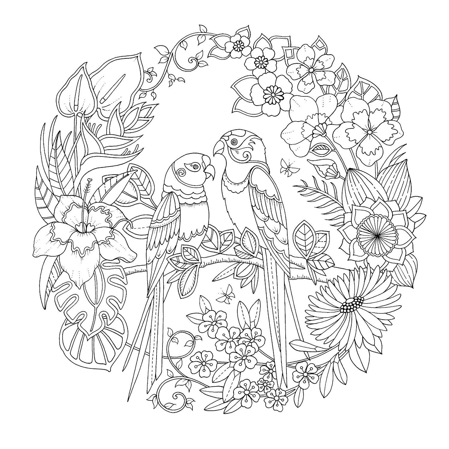 Jungle Coloring Pages For Adults At GetColorings Free Printable Colorings Pages To Print