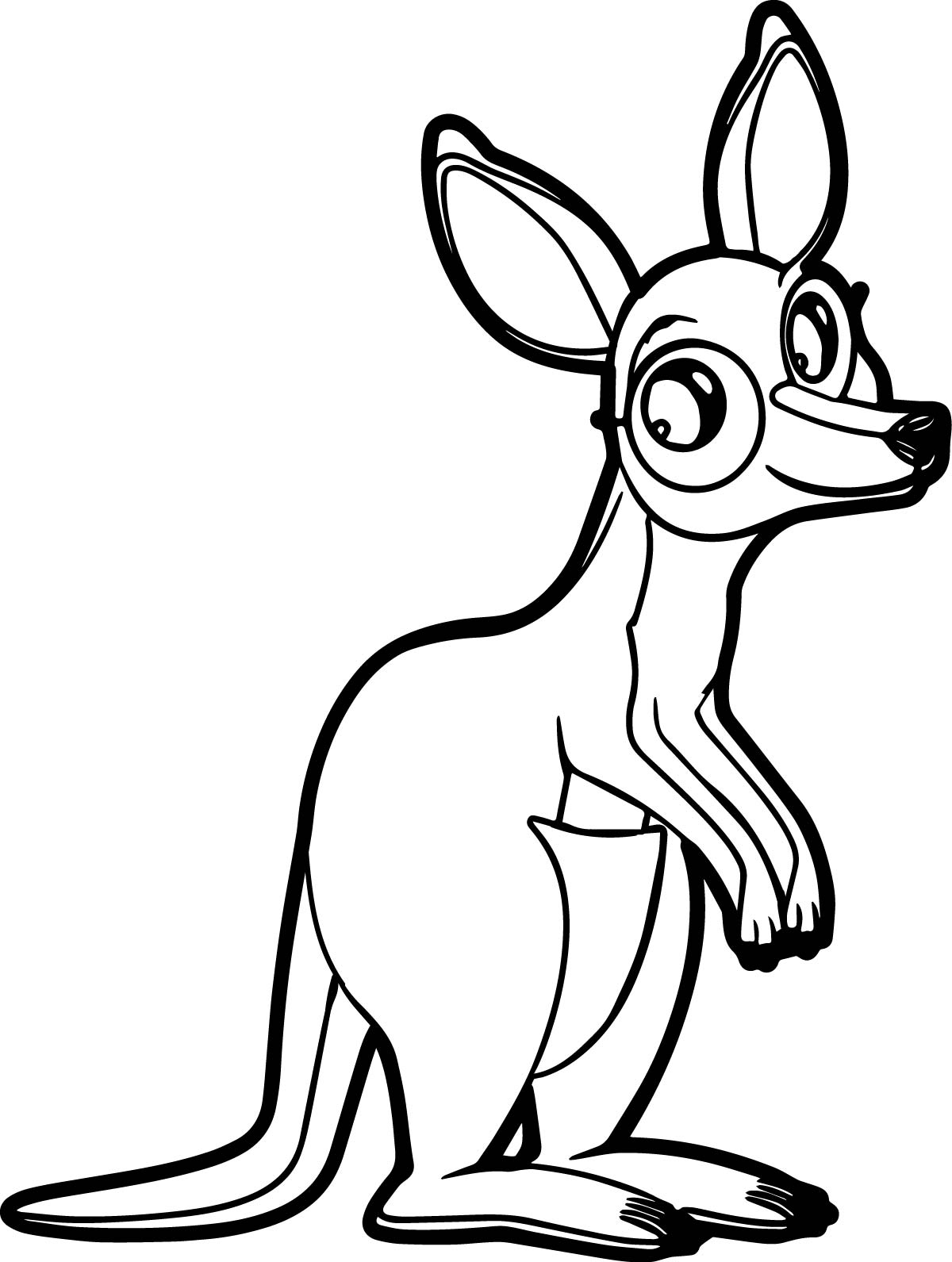 Kangaroo Coloring Pages
