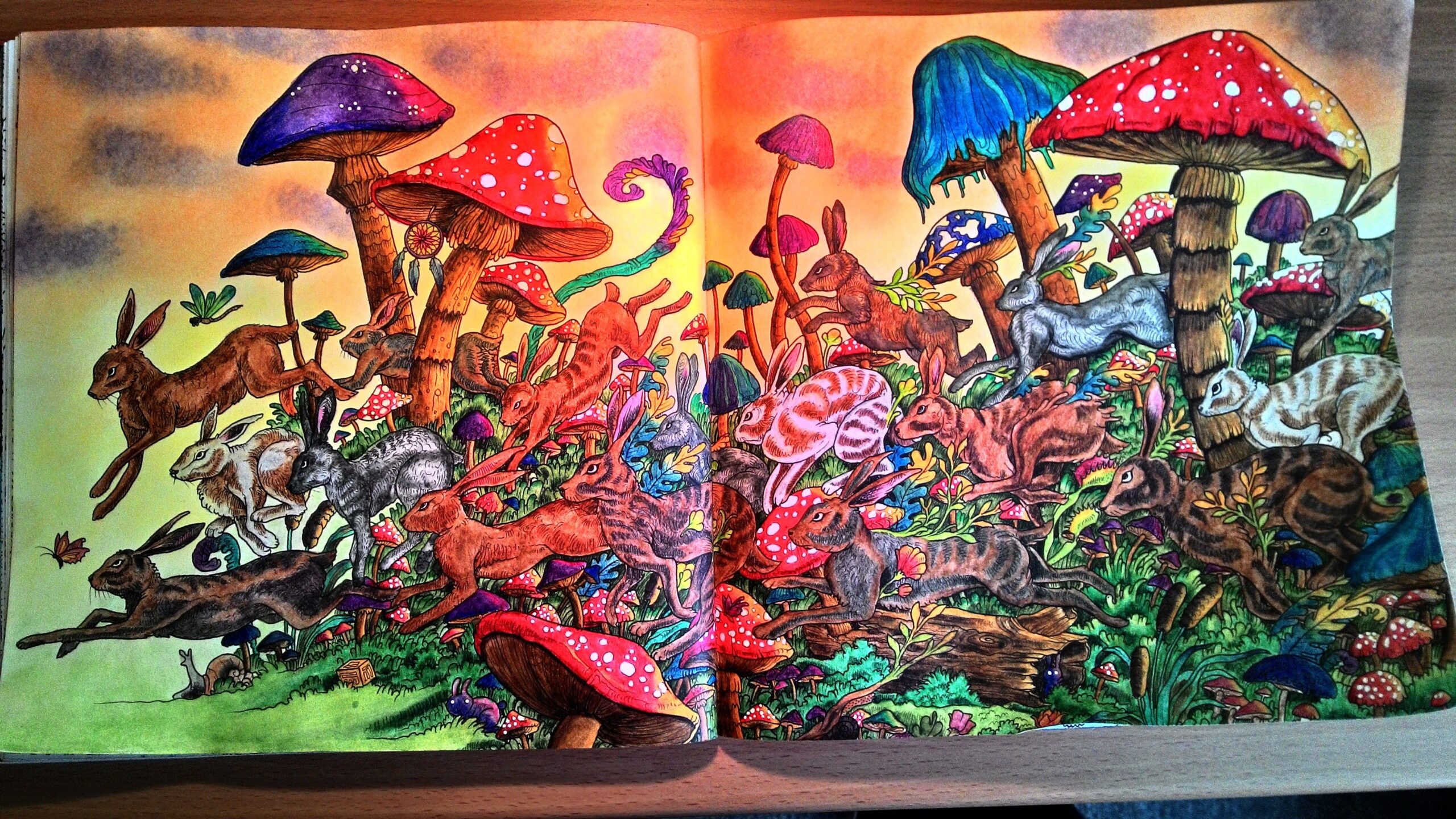 Kerby Rosanes Imagimorphia Coloring Book Art Animorphia Coloring Book Coloring Pages