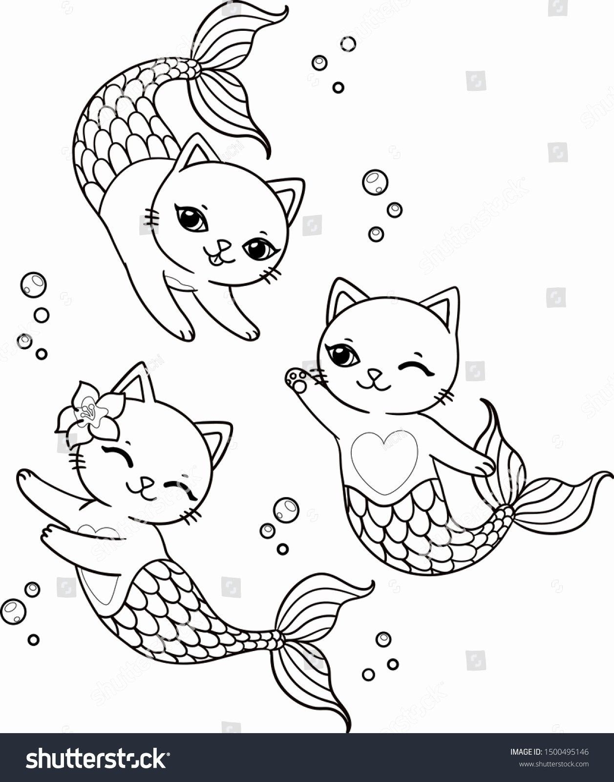 Kitty Mermaid Coloring Pages Ezymine