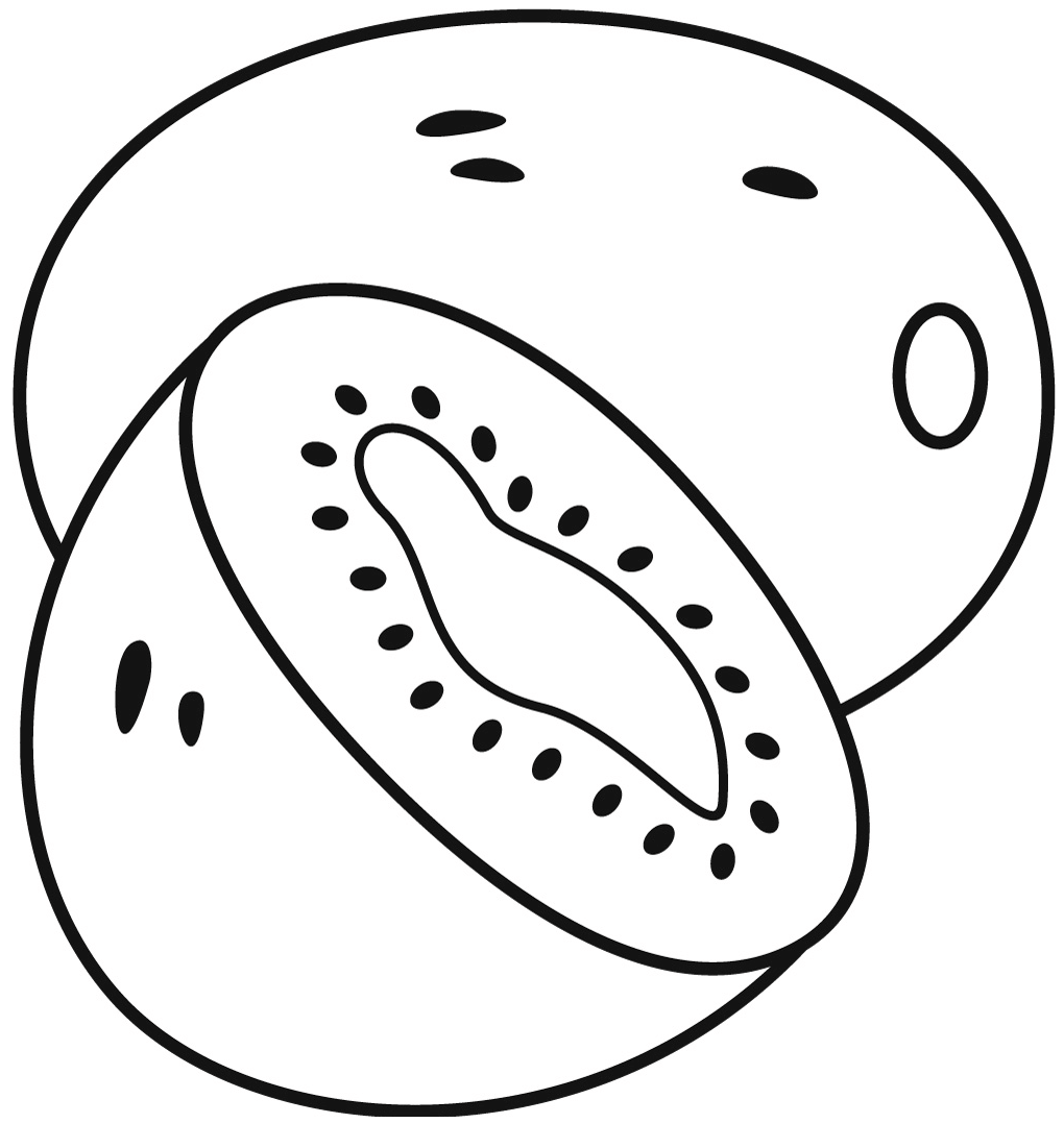 Kiwi Coloring Page