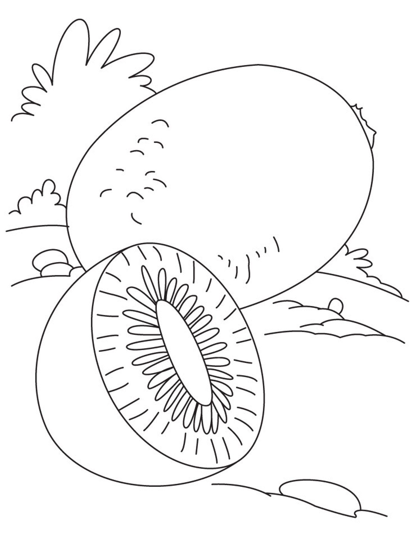 Kiwi Coloring Pages To Download And Print For Free