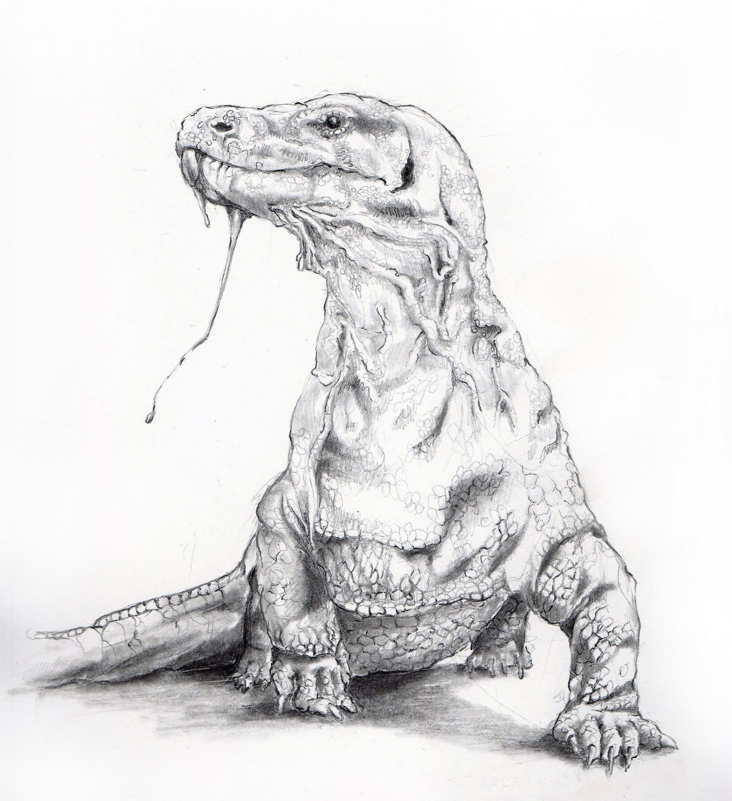 Komodo Dragon Coloring Page