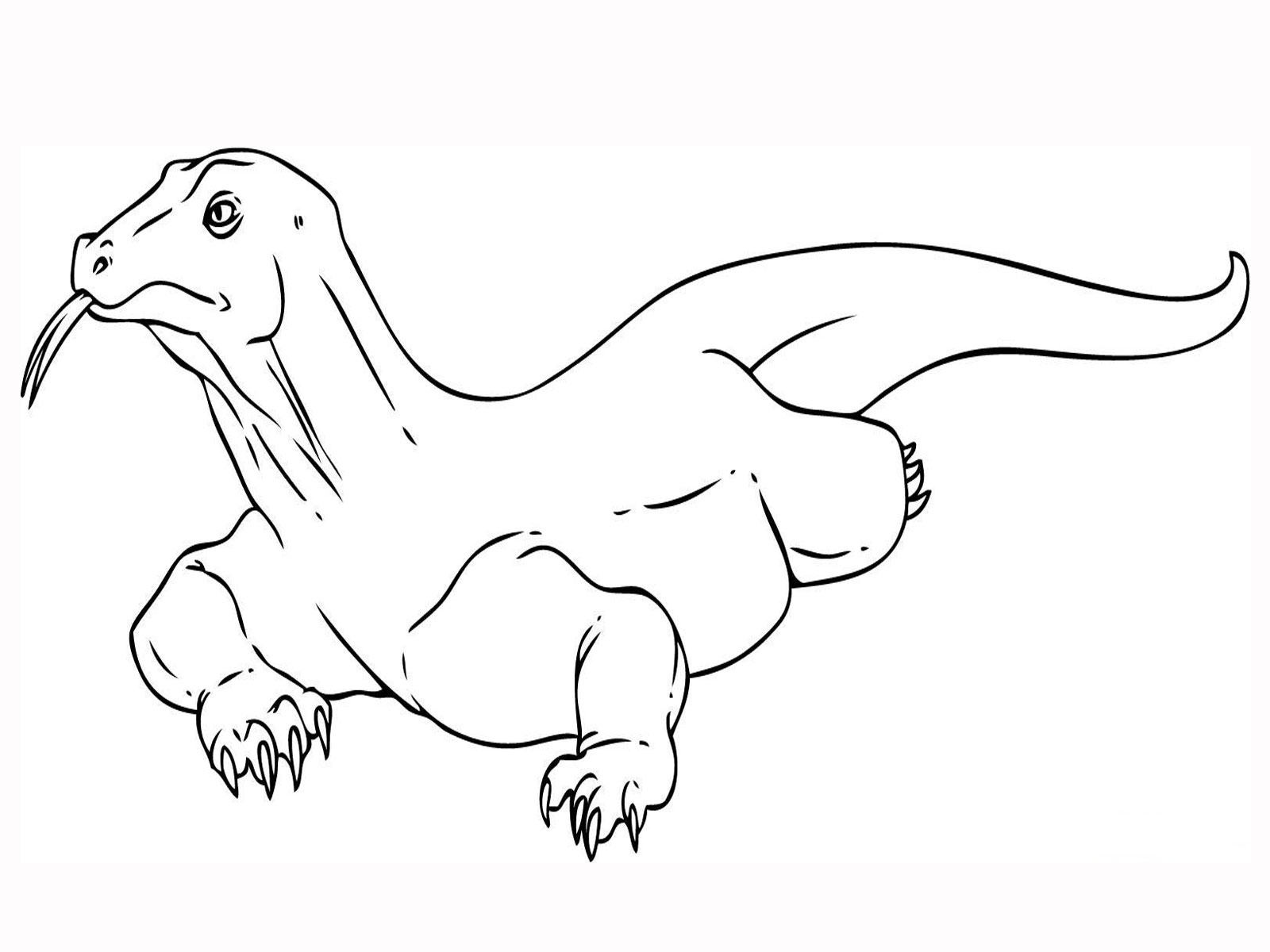 Komodo Dragon Coloring Page Coloring Pages