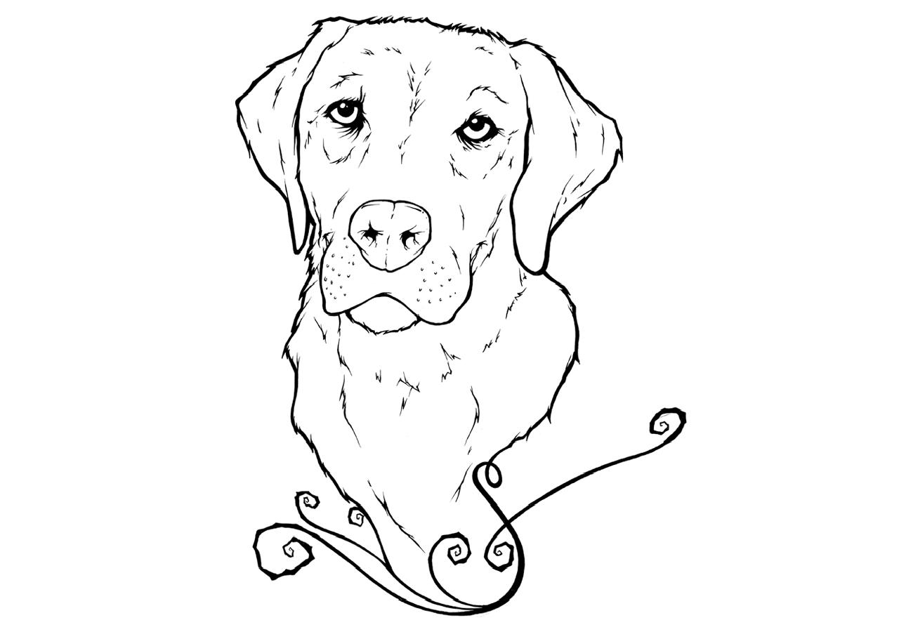 Labrador Coloring Pages Best Coloring Pages For Kids