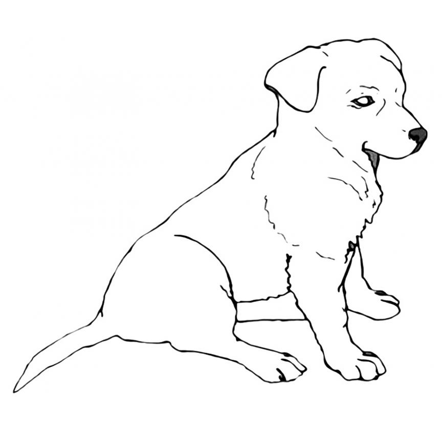 Labrador Coloring Pages Best Coloring Pages For Kids