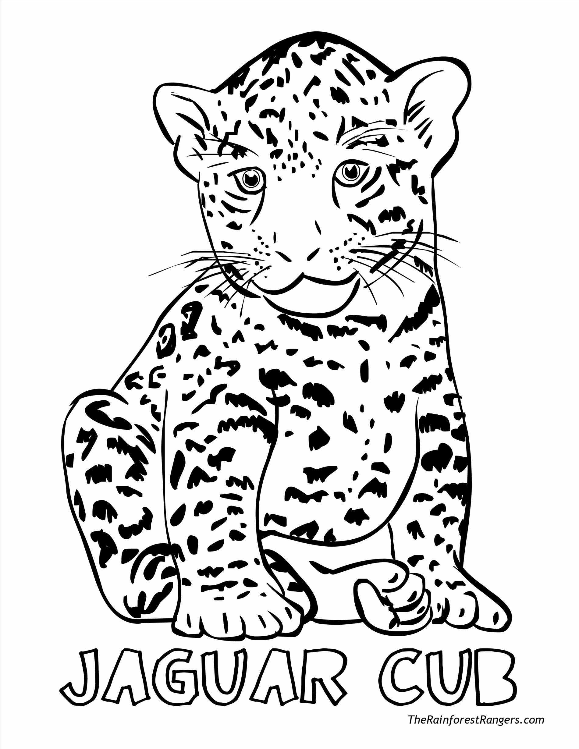 Land Animals Coloring Pages At GetColorings Free Printable Colorings Pages To Print And Color