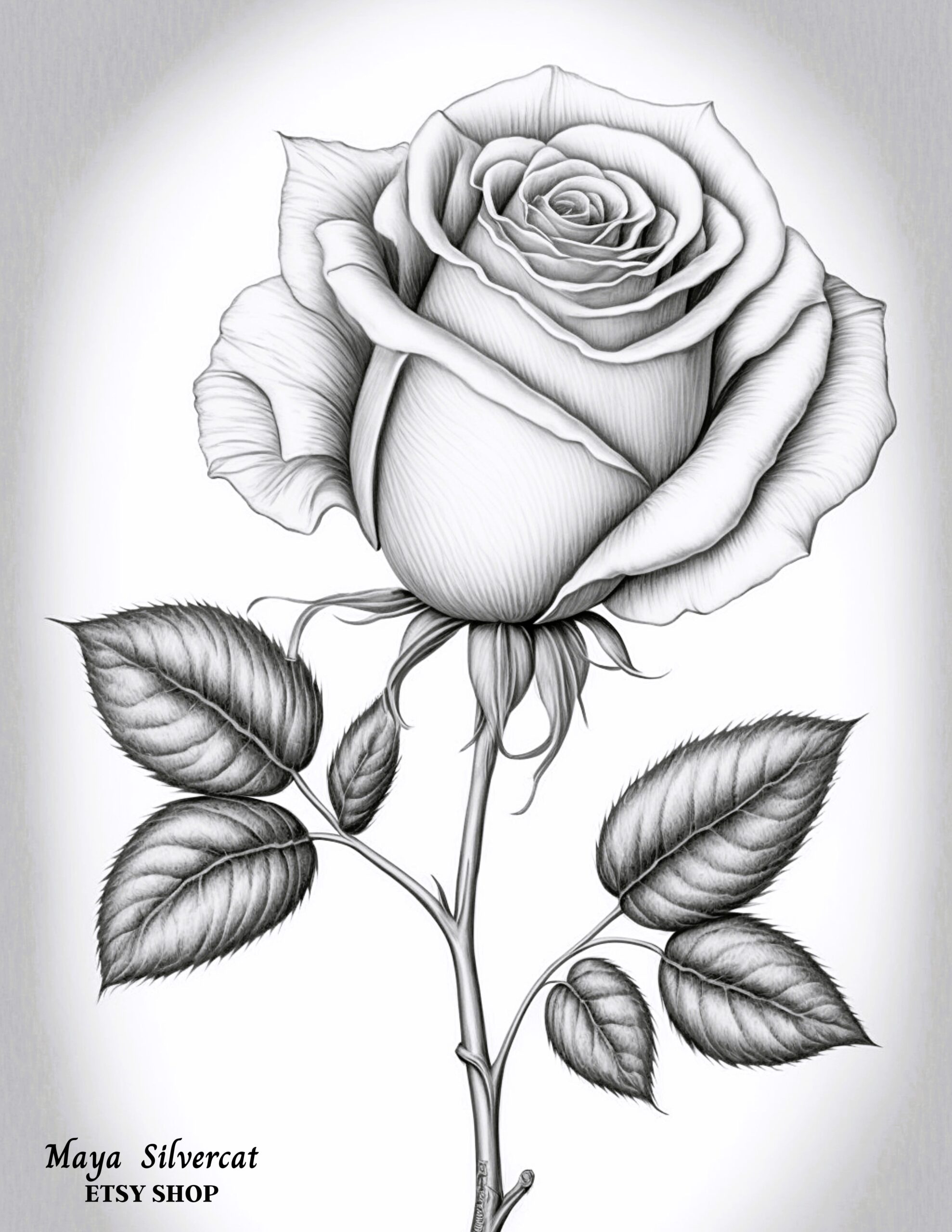 Large Rose 2 Free Grayscale Coloring Page For Adults Rose Coloring Pages Roses Drawing