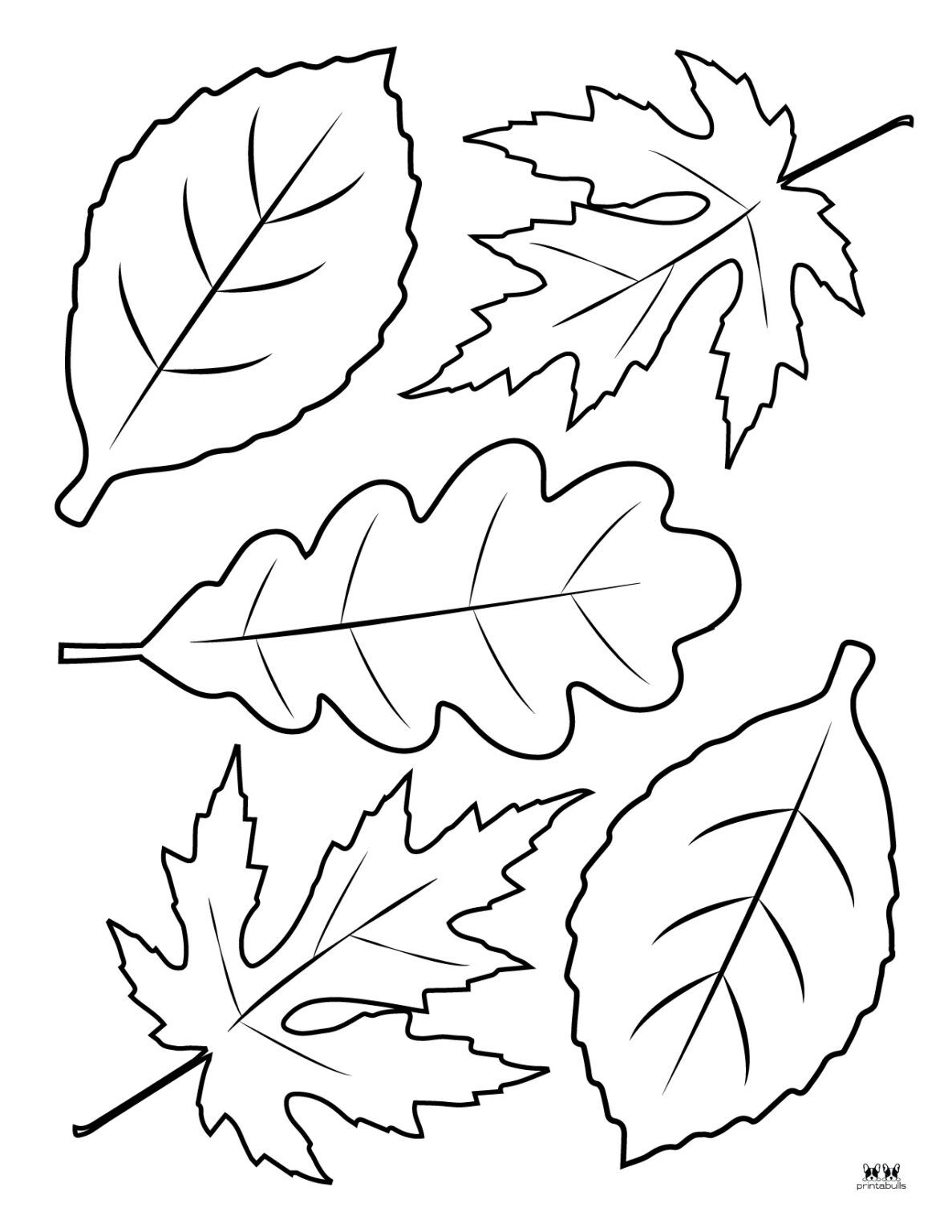 Fall Leaf Coloring Page