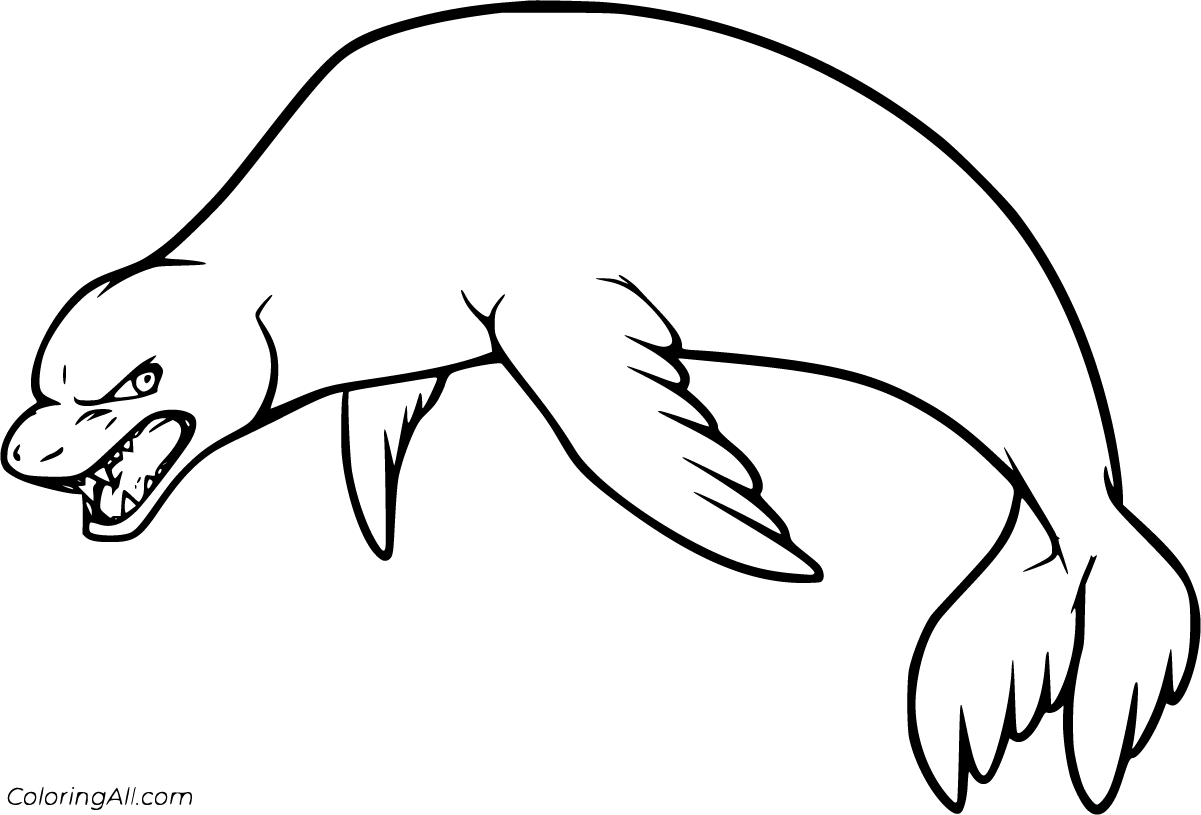 Leopard Seal Coloring Page